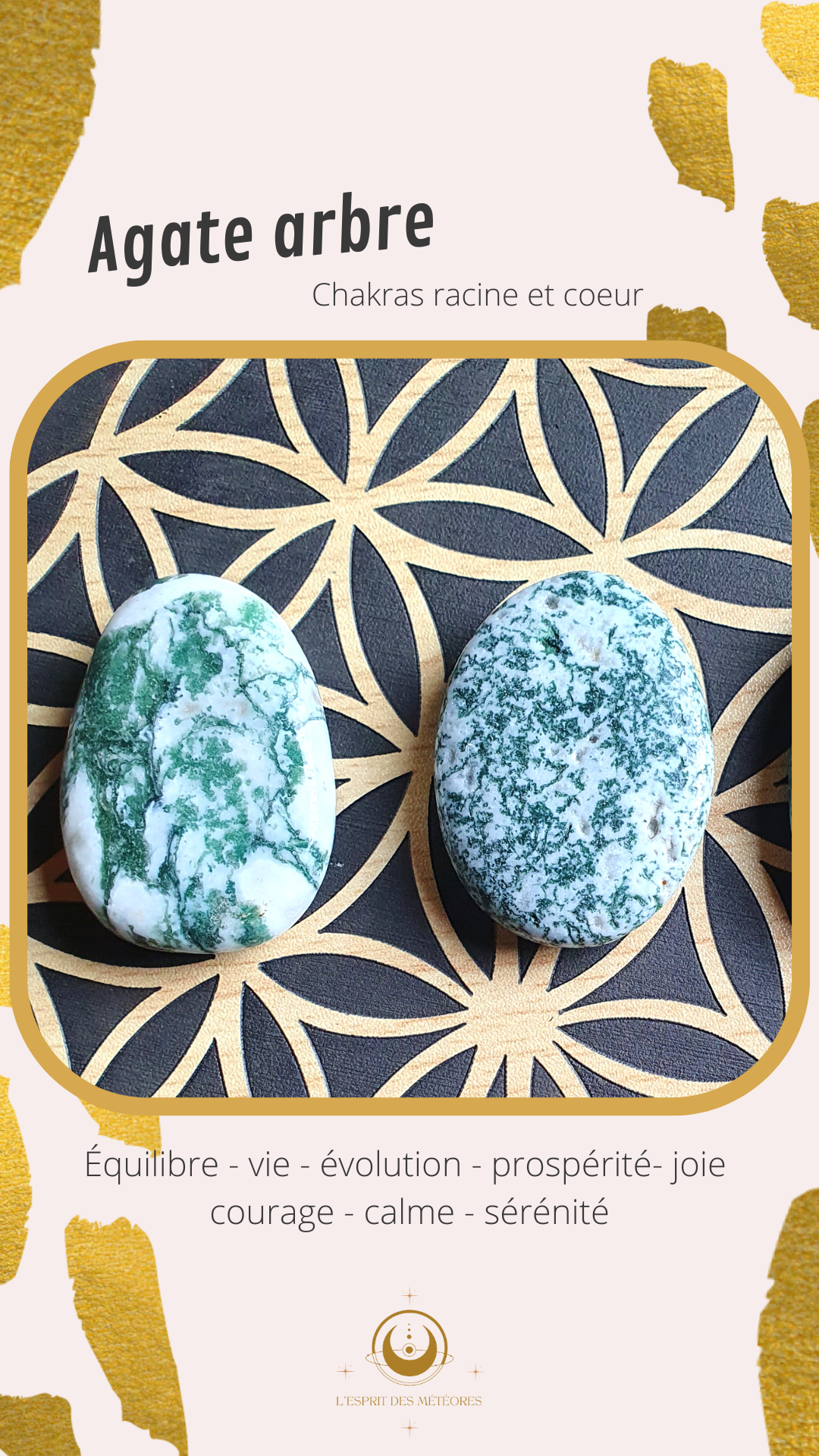 Pointe Agate arbre H