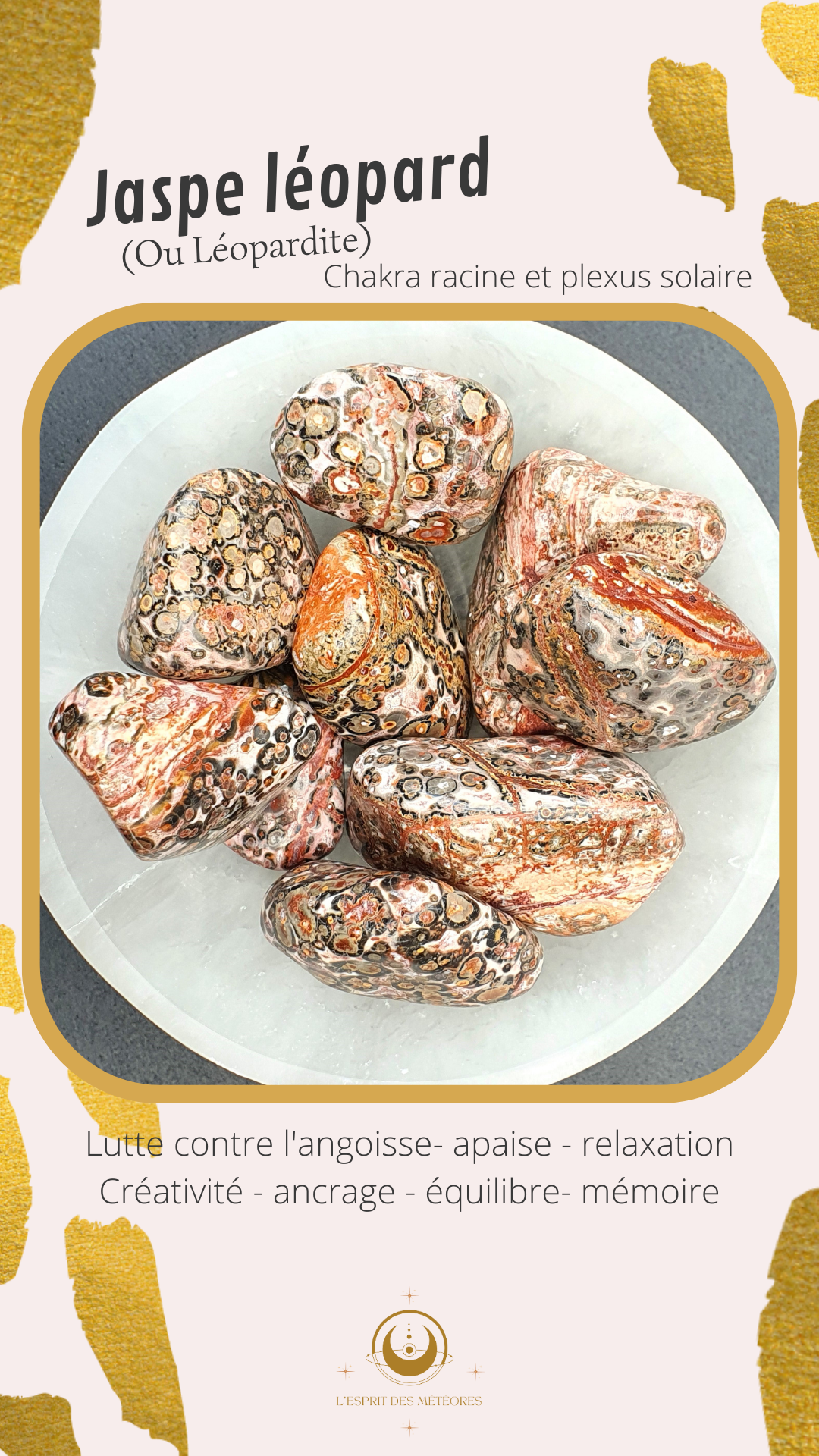 Oeuf Léopardite / Jaspe léopard LI