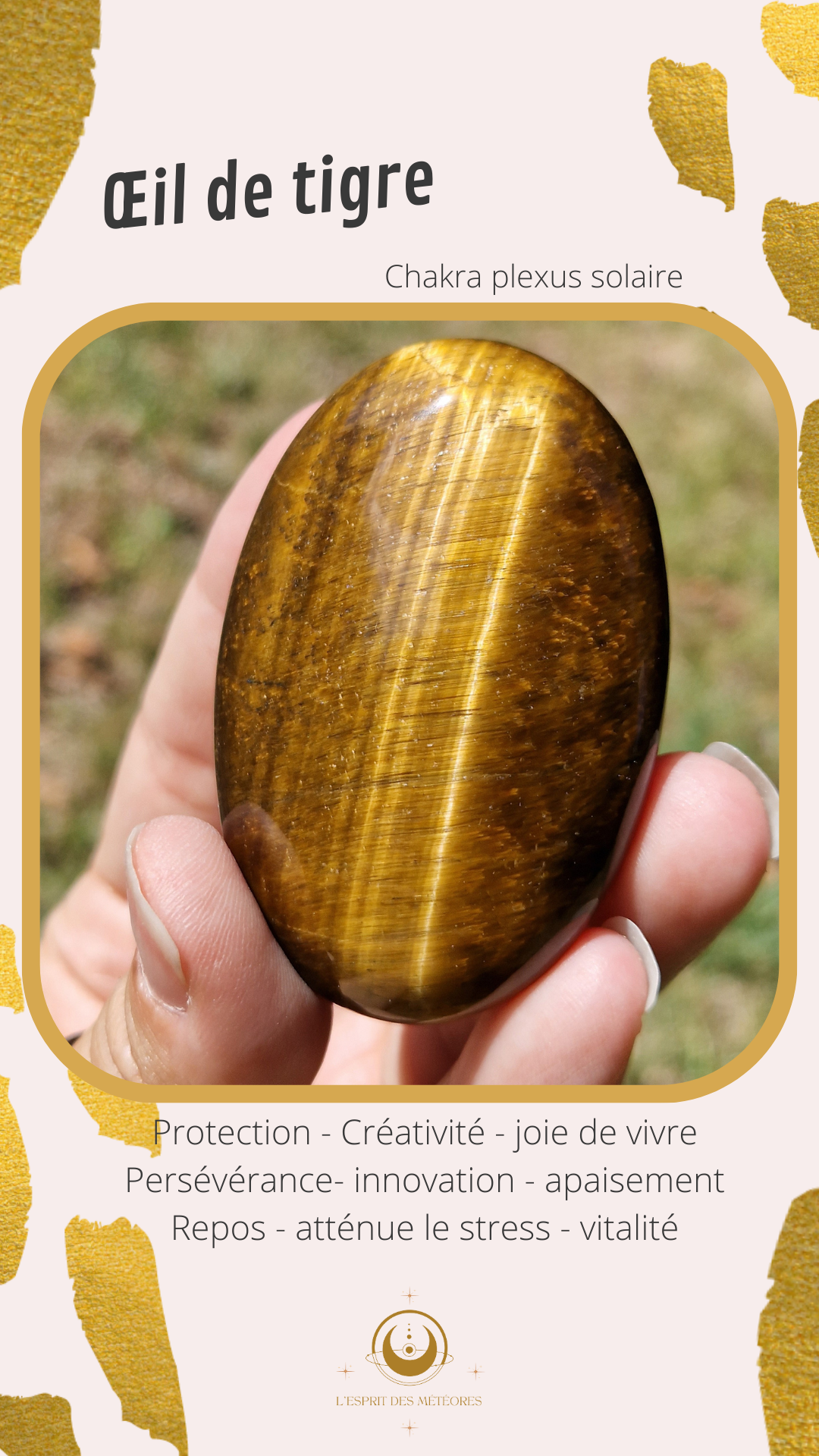 Galet plat Œil de tigre (à choisir)