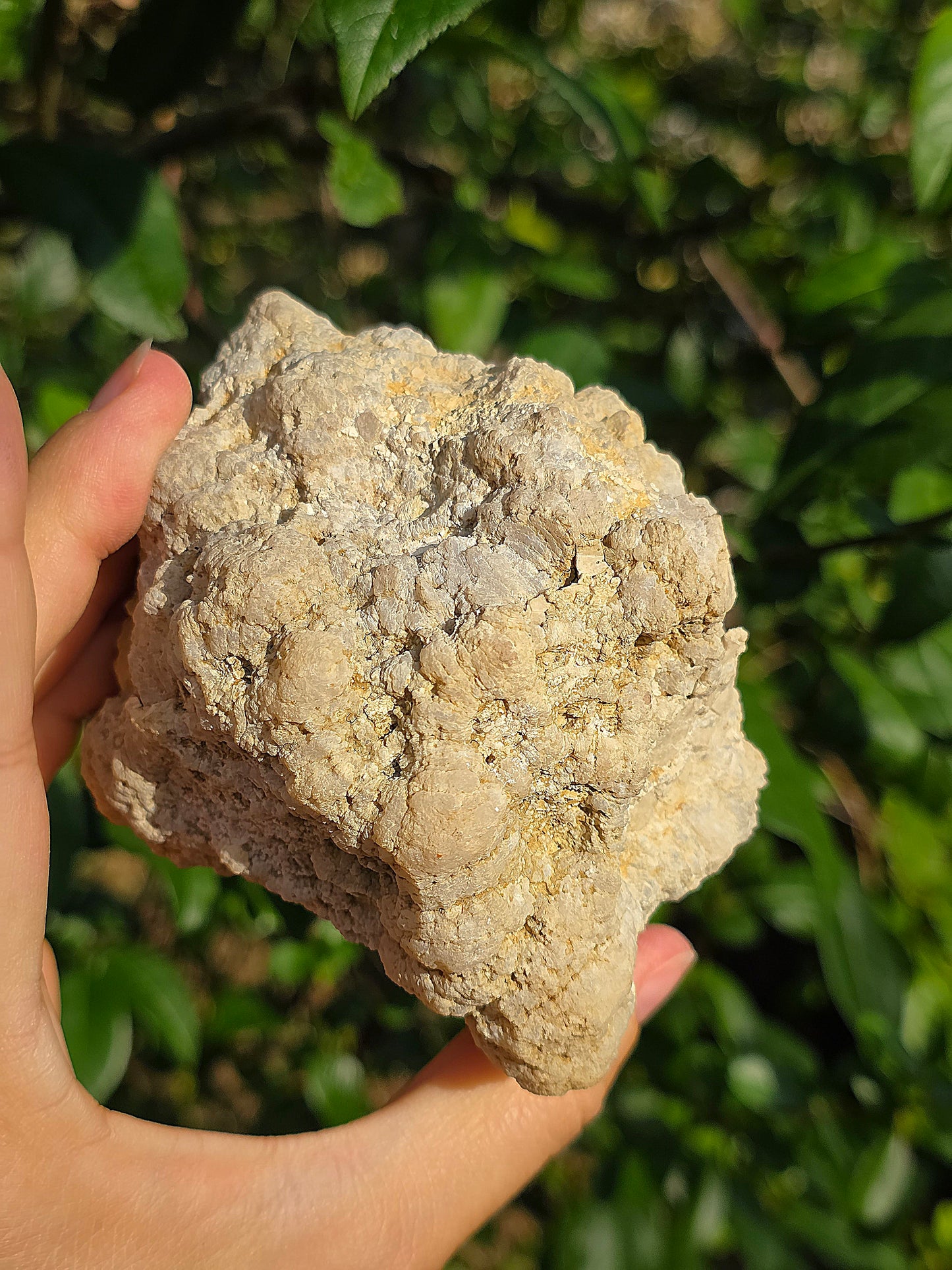 Demi géode Quartz des Landes