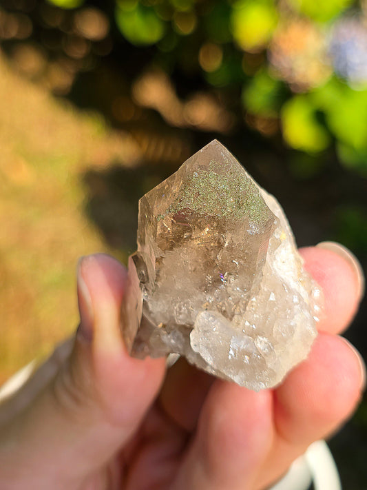 Quartz fumé des Pyrénées n°30