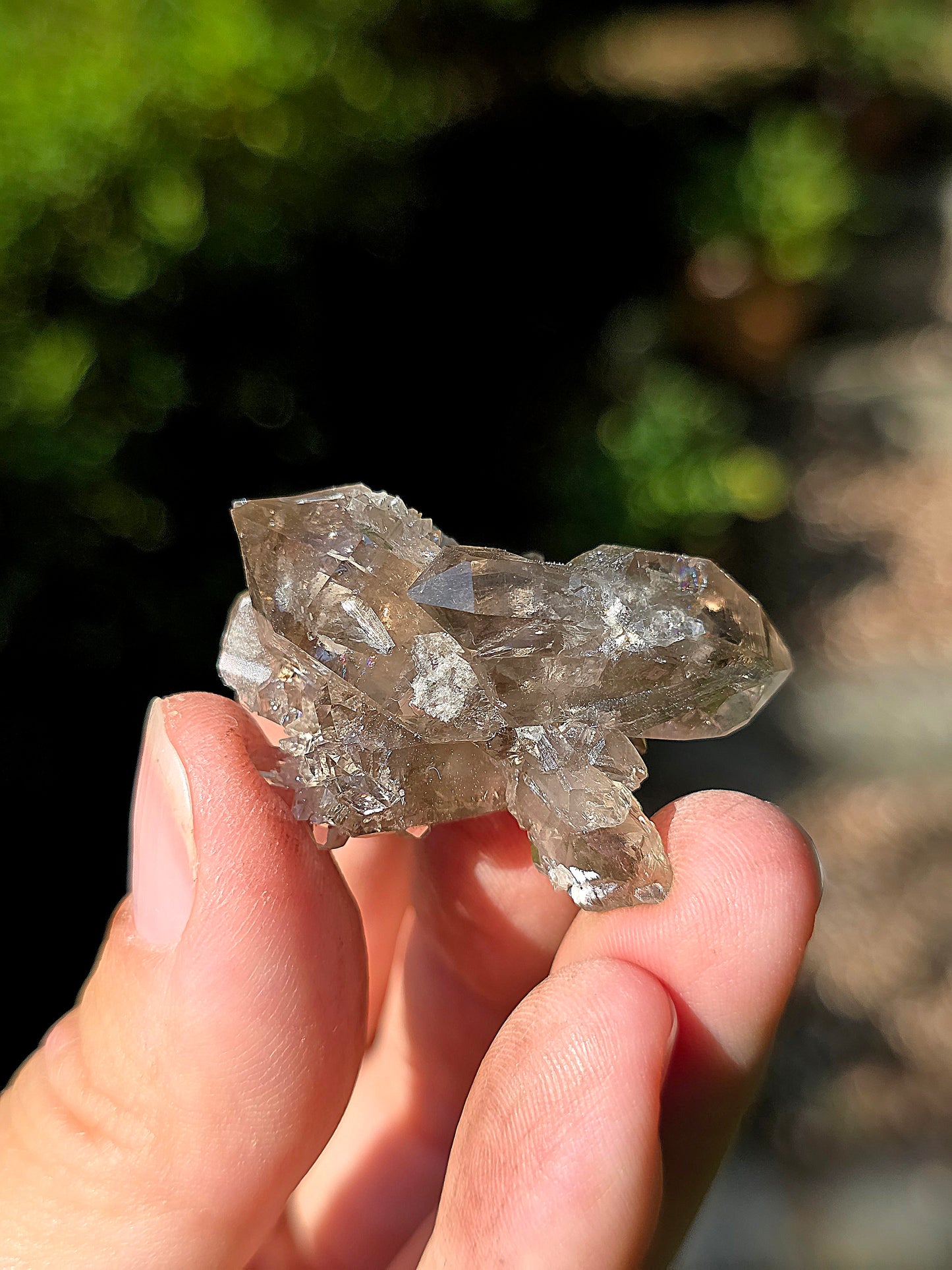 Quartz fumé des Pyrénées n°17
