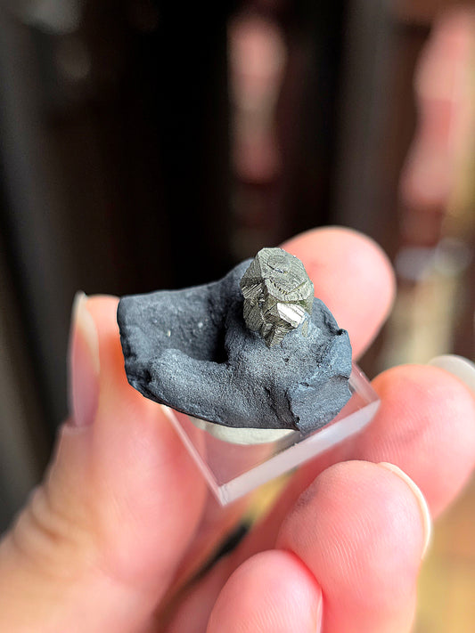 Pyrite sur Schiste n°9