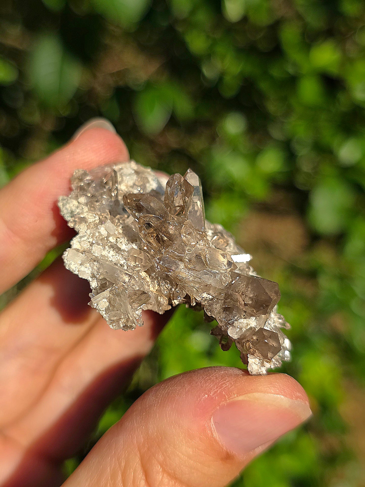 Quartz fumé des Pyrénées n°22