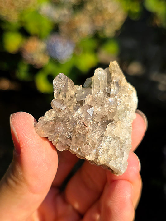 Quartz fumé des Pyrénées n°28