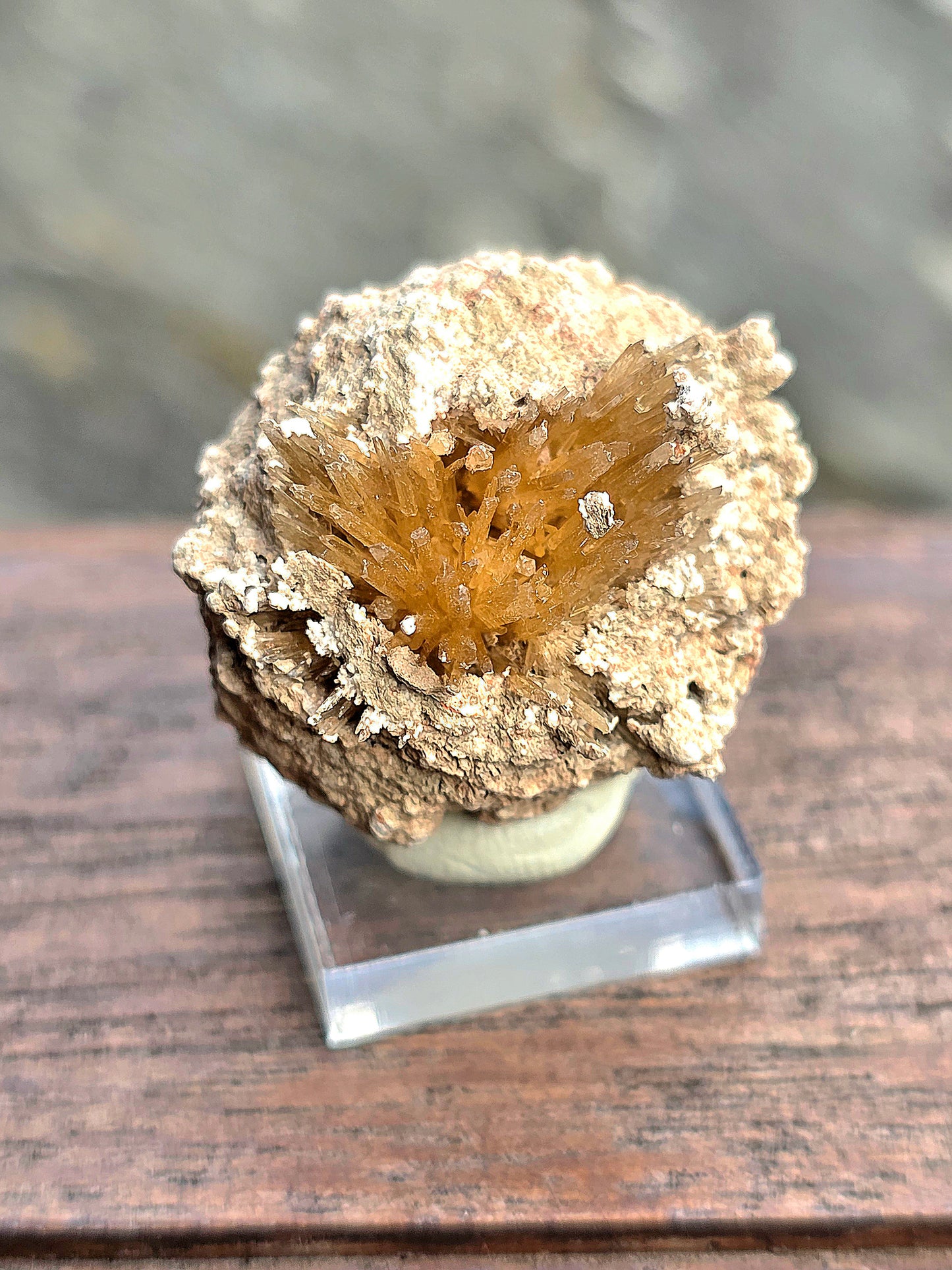 Aragonite corollaire française n°5