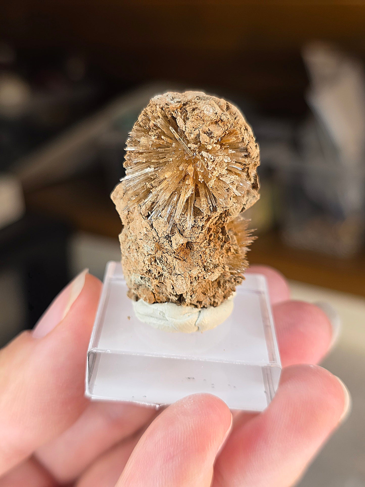 Aragonite corollaire française n°3