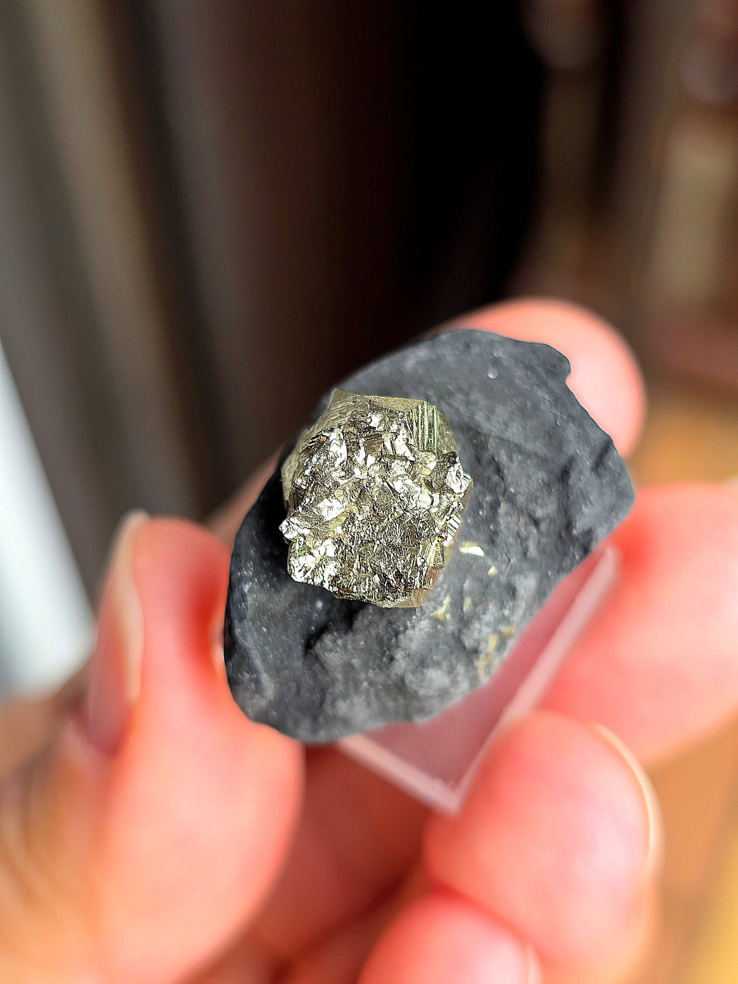 Pyrite sur Schiste n°1