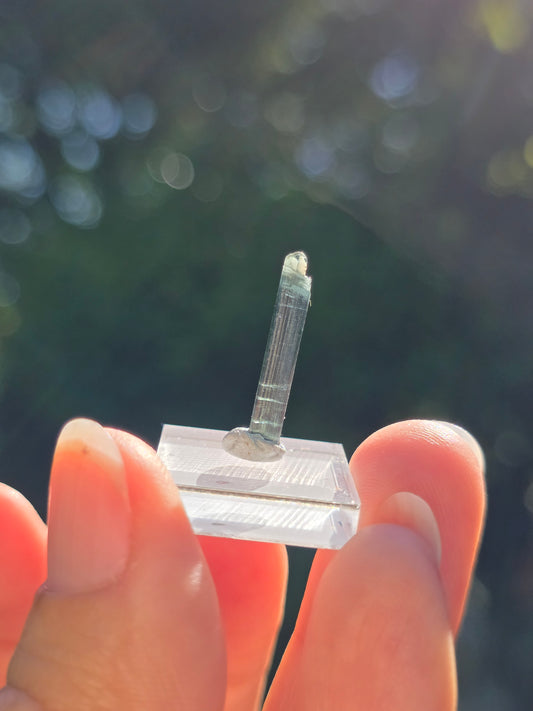 Tourmaline bleue du Brésil (à choisir)