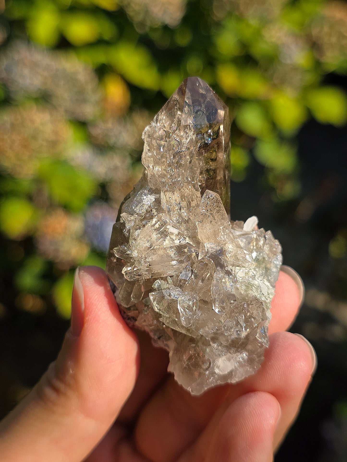 Superbe Quartz fumé des Pyrénées n°31