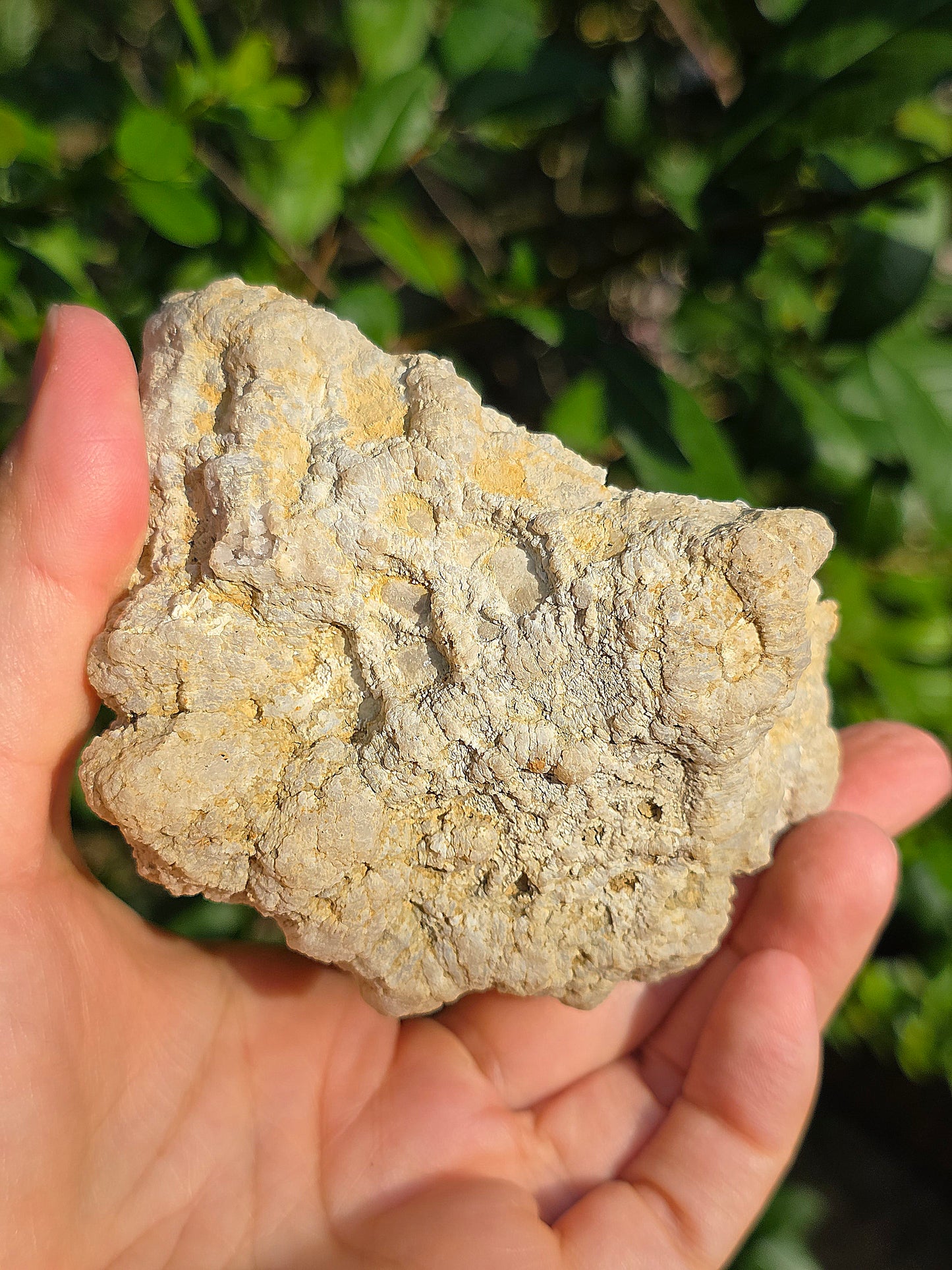 Demi géode Quartz des Landes
