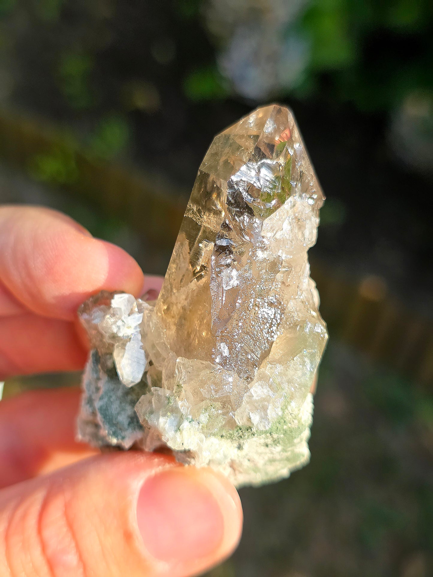 Superbe Quartz fumé des Pyrénées n°31