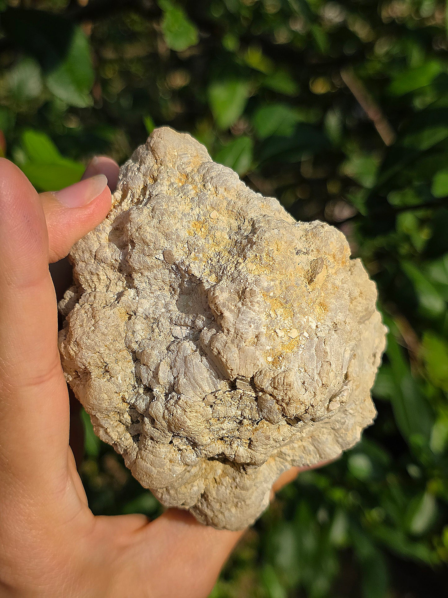Demi géode Quartz des Landes
