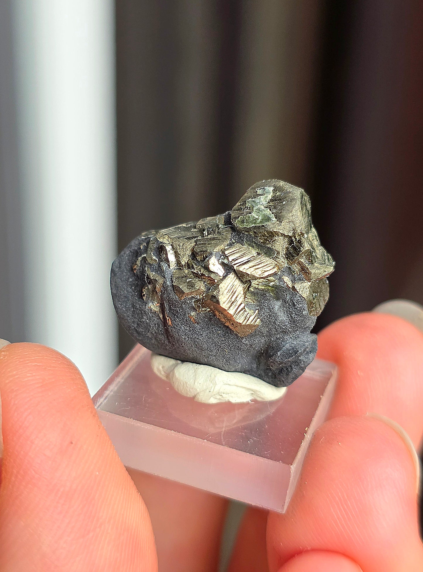 Pyrite sur Schiste n°5