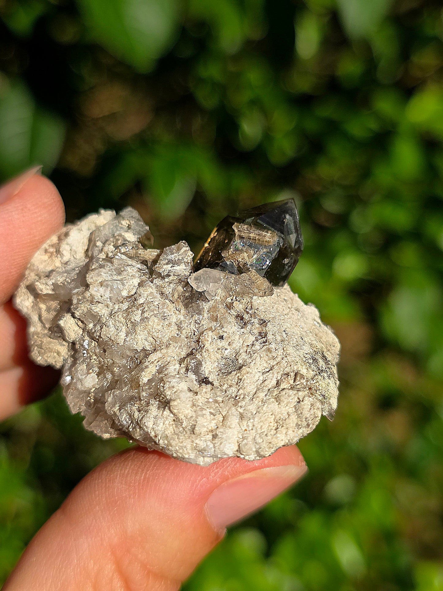 Quartz fumé des Pyrénées n°23