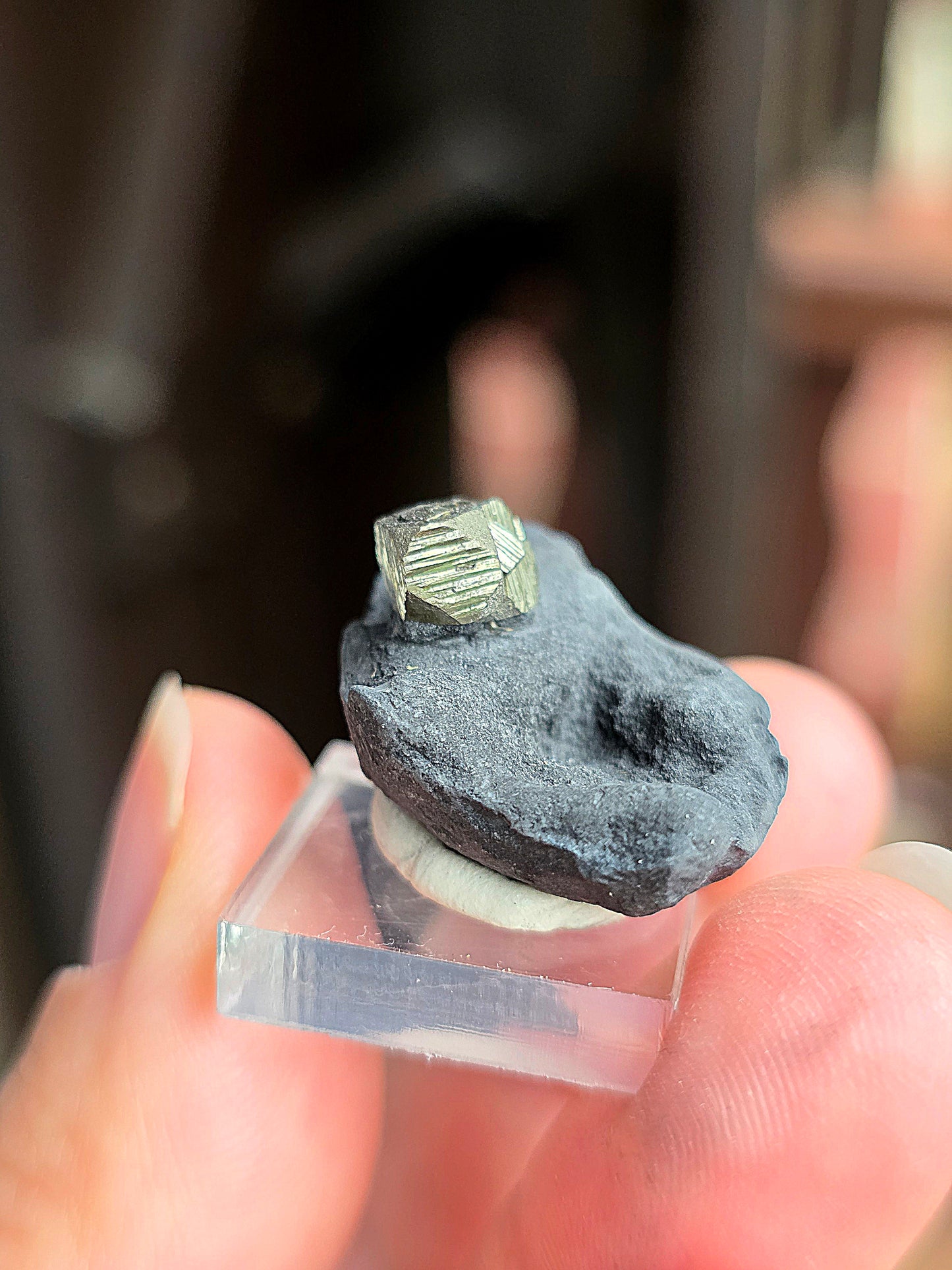 Pyrite sur Schiste n°9