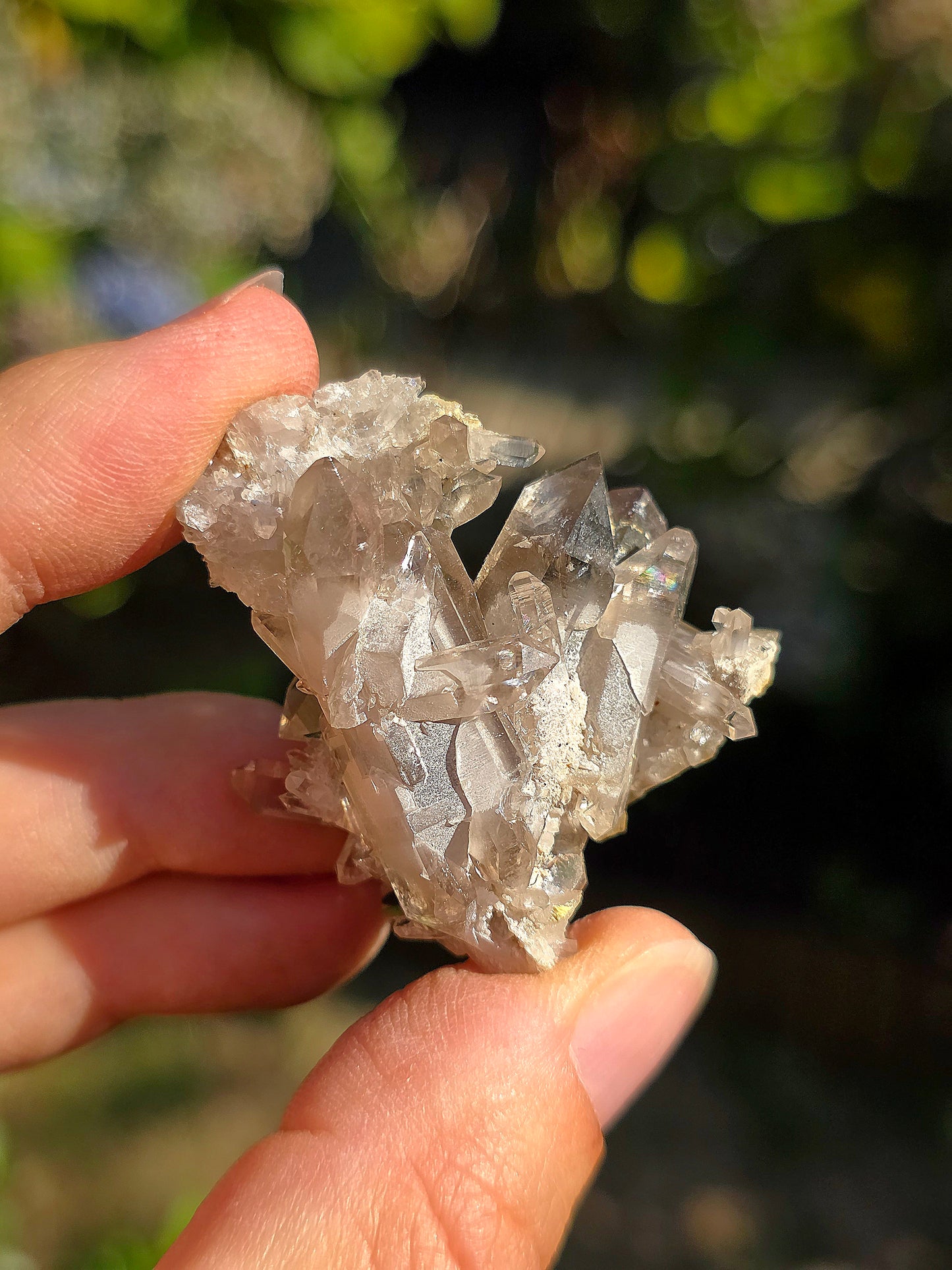 Quartz fumé des Pyrénées n°20