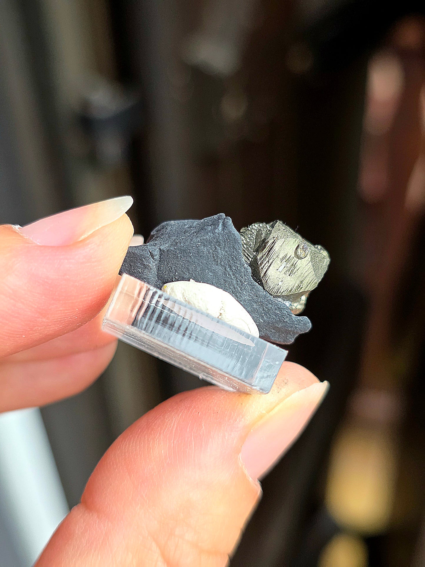 Pyrite sur Schiste n°7