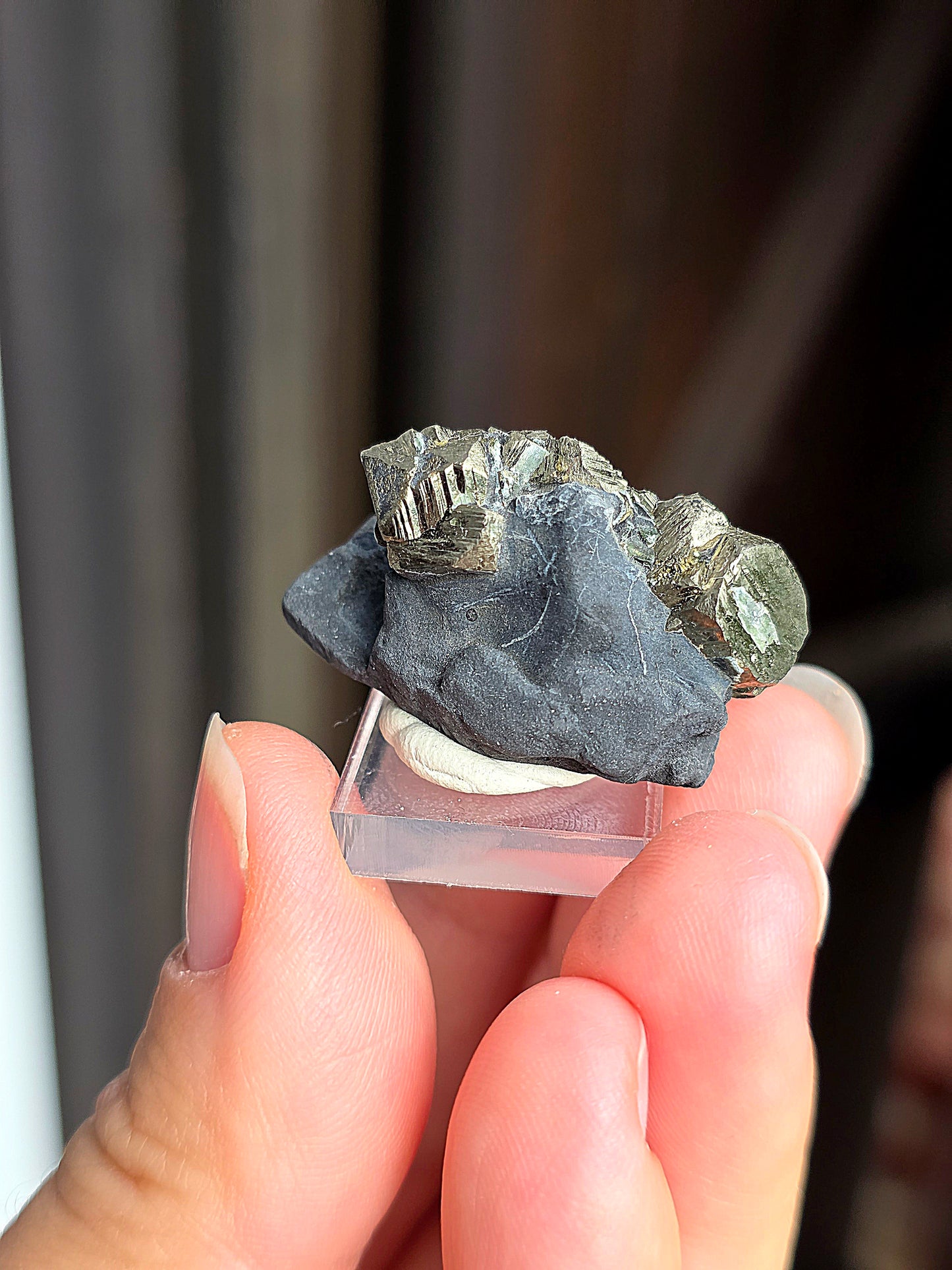 Pyrite sur Schiste n°2