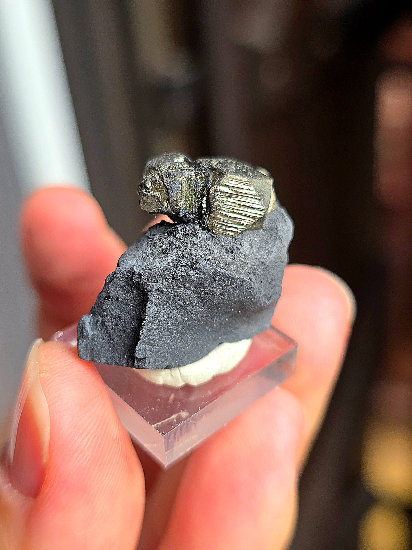 Pyrite sur Schiste n°10