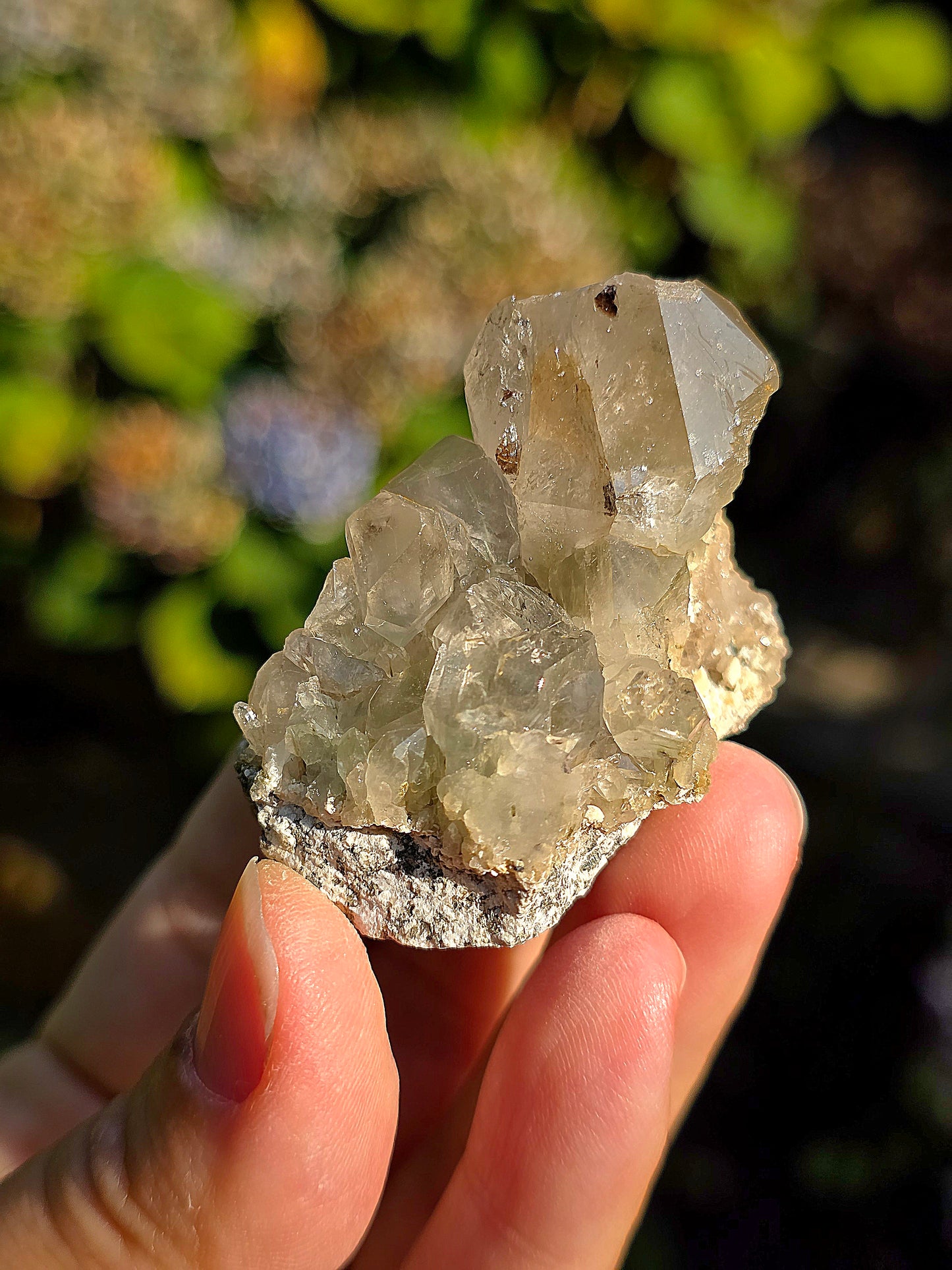 Quartz des Pyrénées avec Byssolite