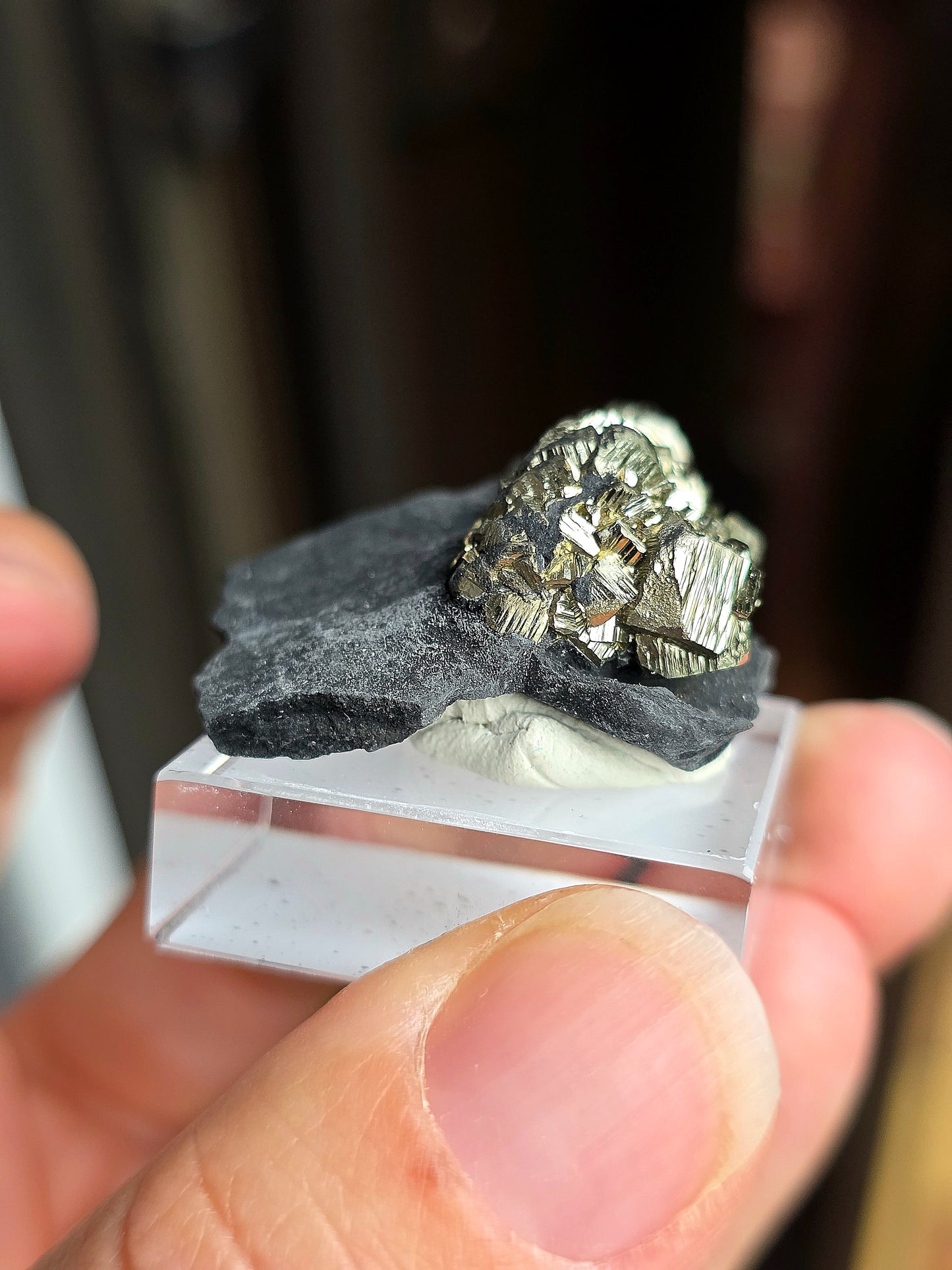 Pyrite sur Schiste n°11