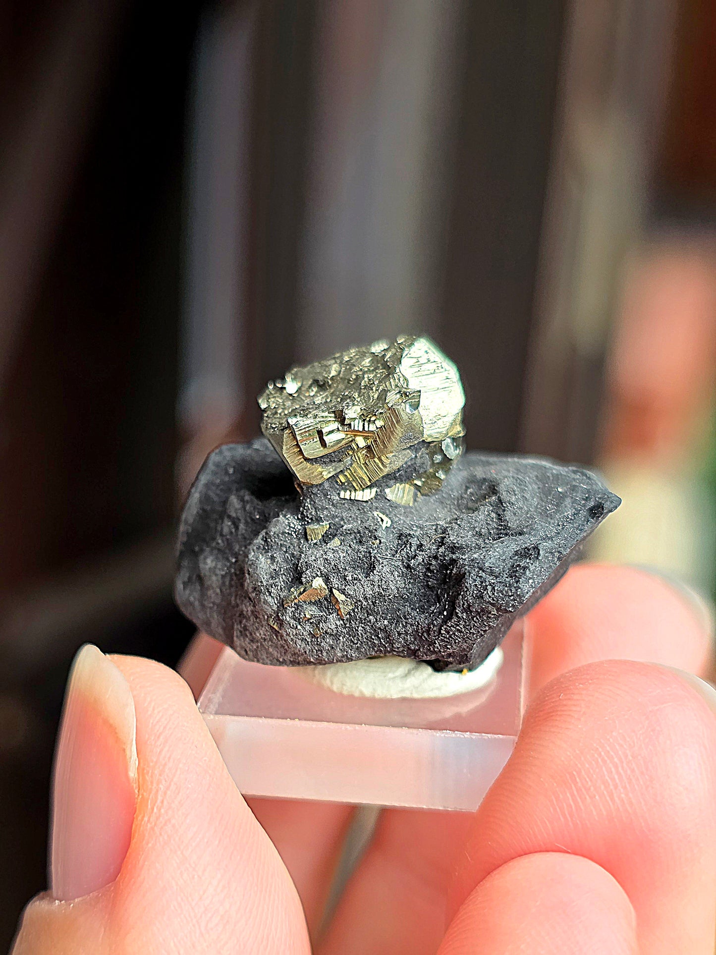Pyrite sur Schiste n°1