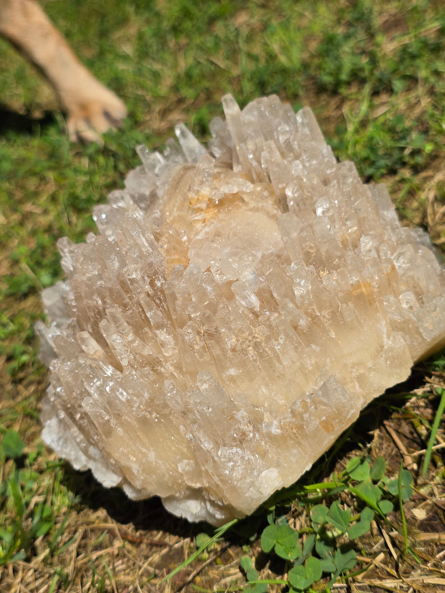 Superbe Calcite miel française (vidéo)