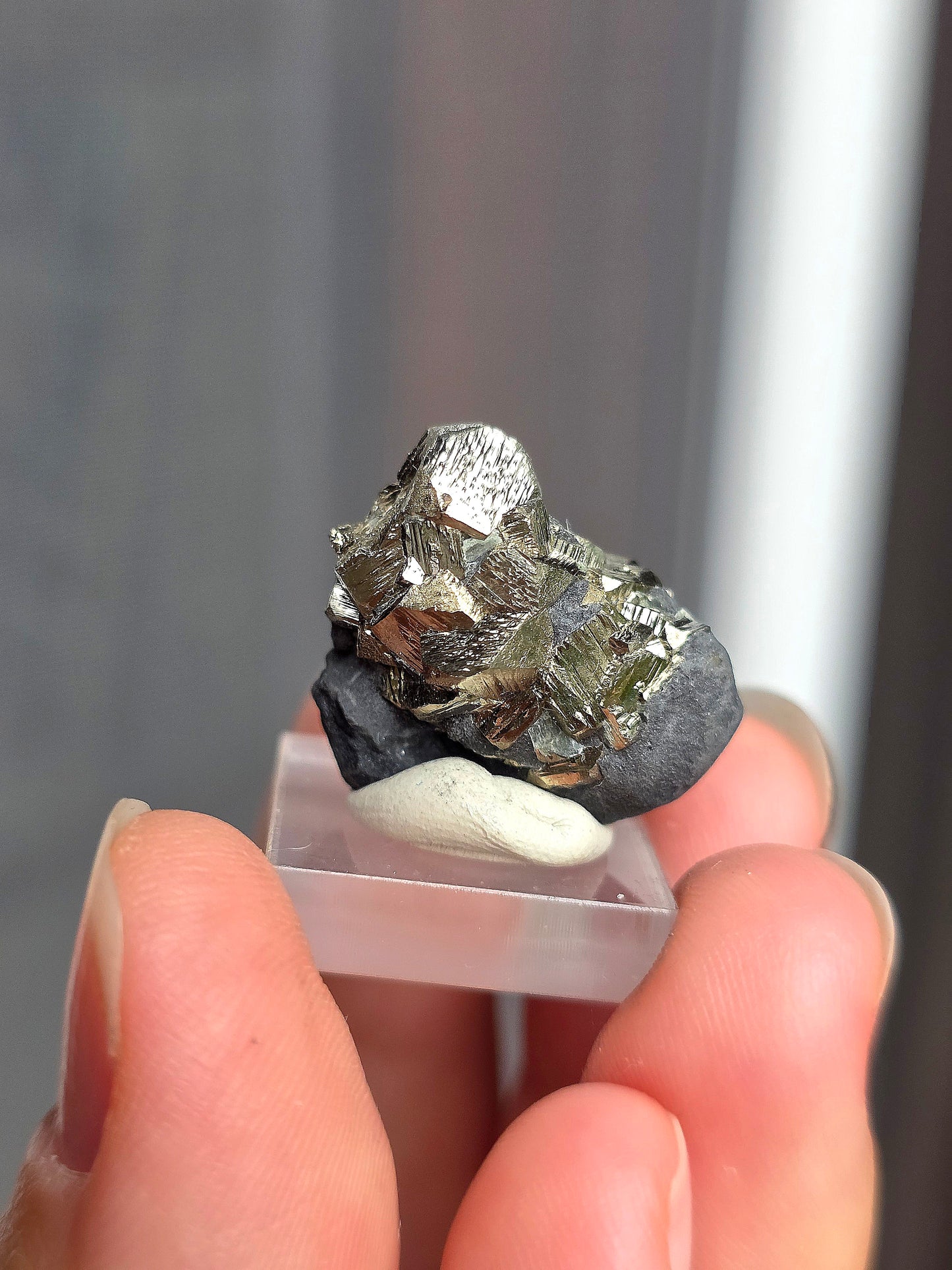 Pyrite sur Schiste n°5