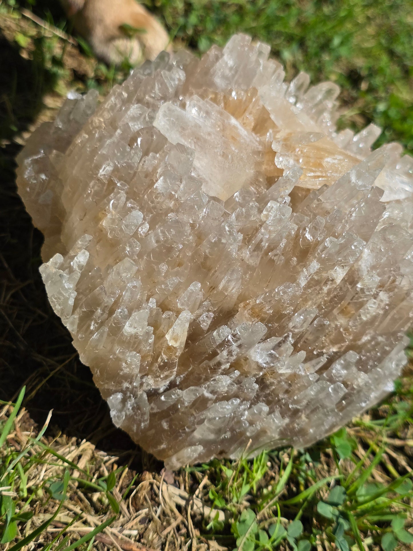 Superbe Calcite miel française (vidéo)