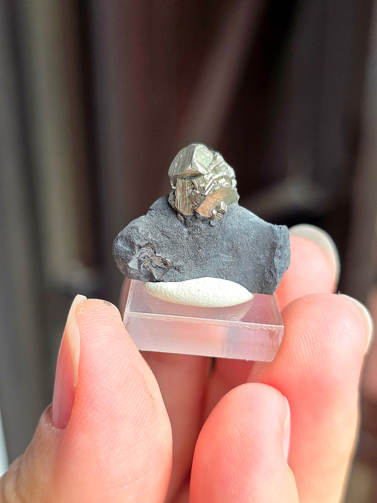 Pyrite sur Schiste n°8