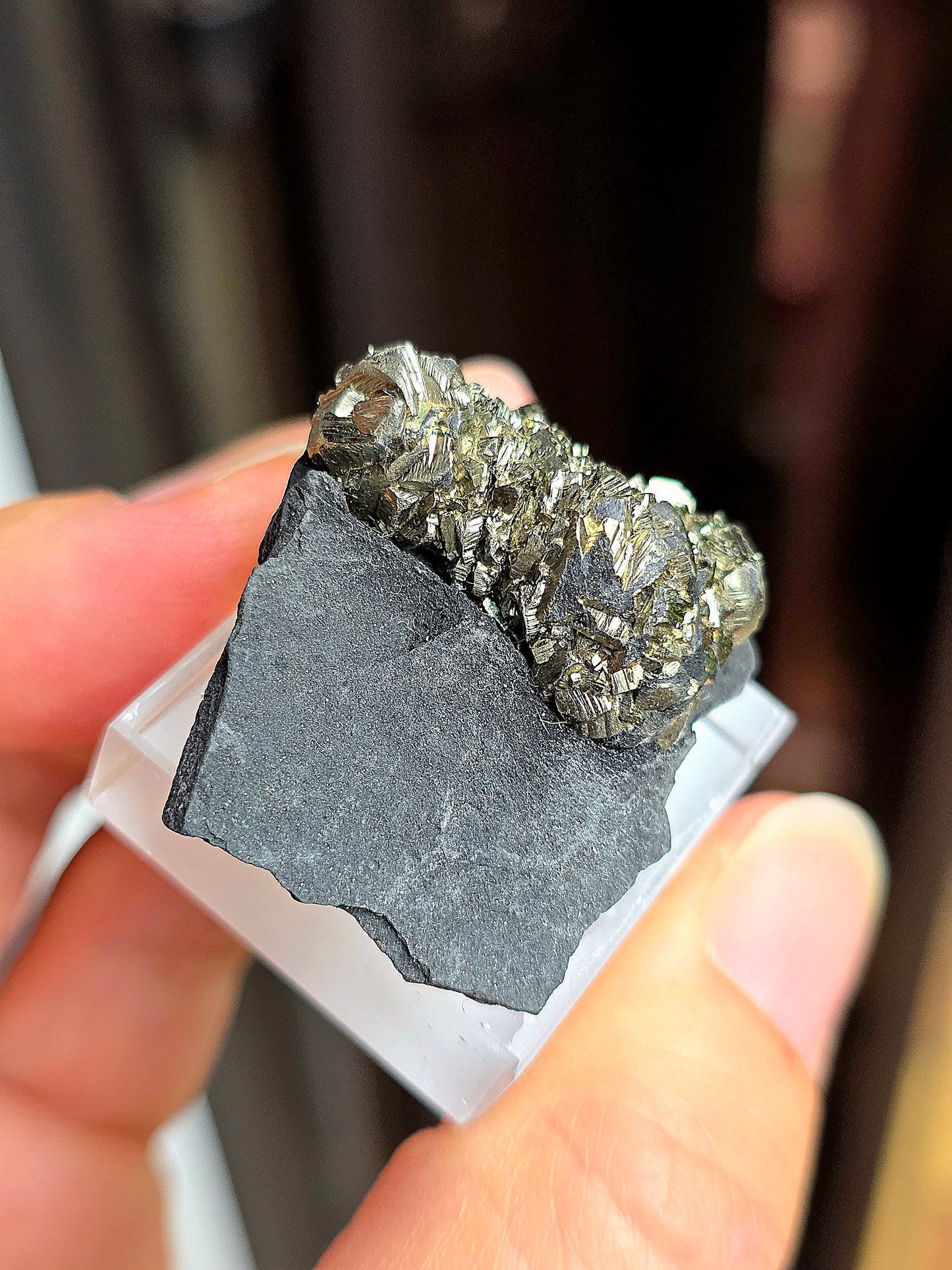 Pyrite sur Schiste n°11