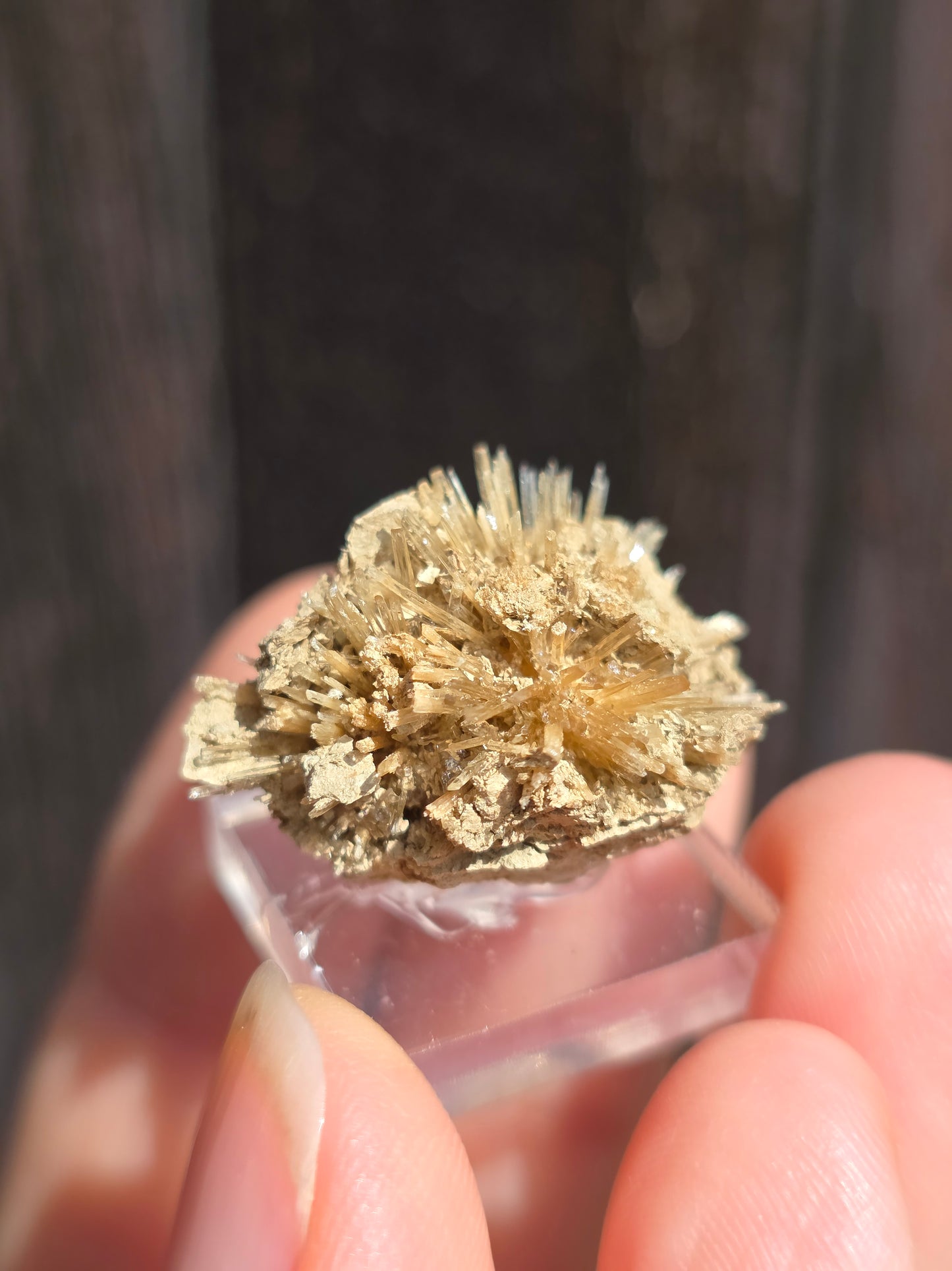 Aragonite corollaire française n°8
