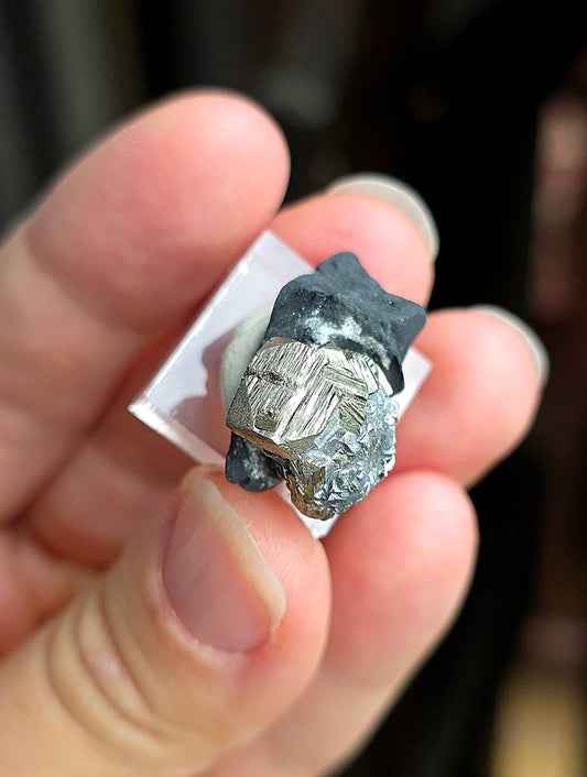 Pyrite sur Schiste n°7