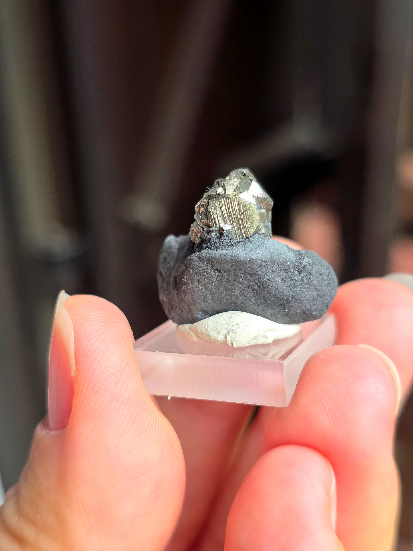 Pyrite sur Schiste n°8