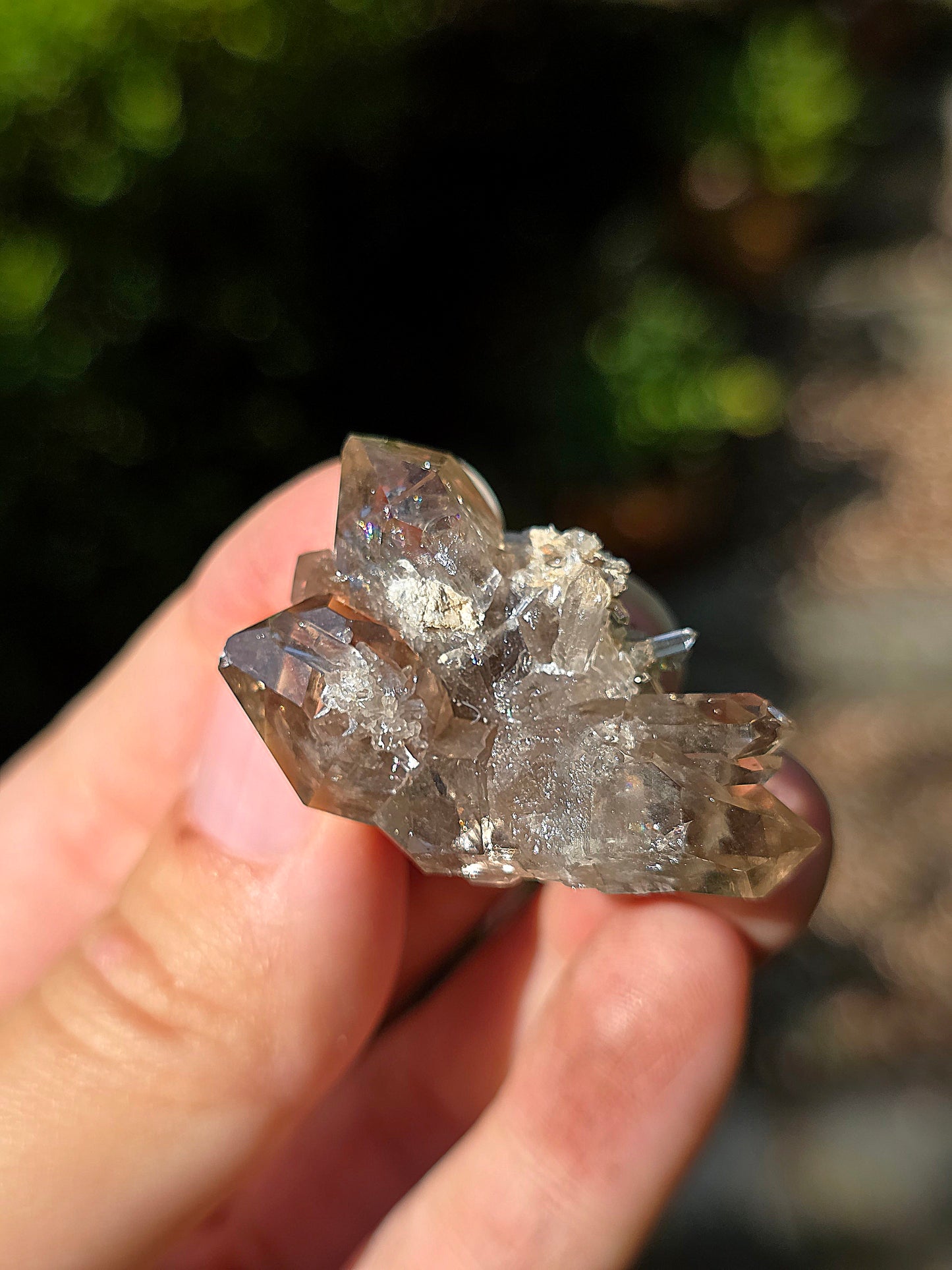 Quartz fumé des Pyrénées n°17