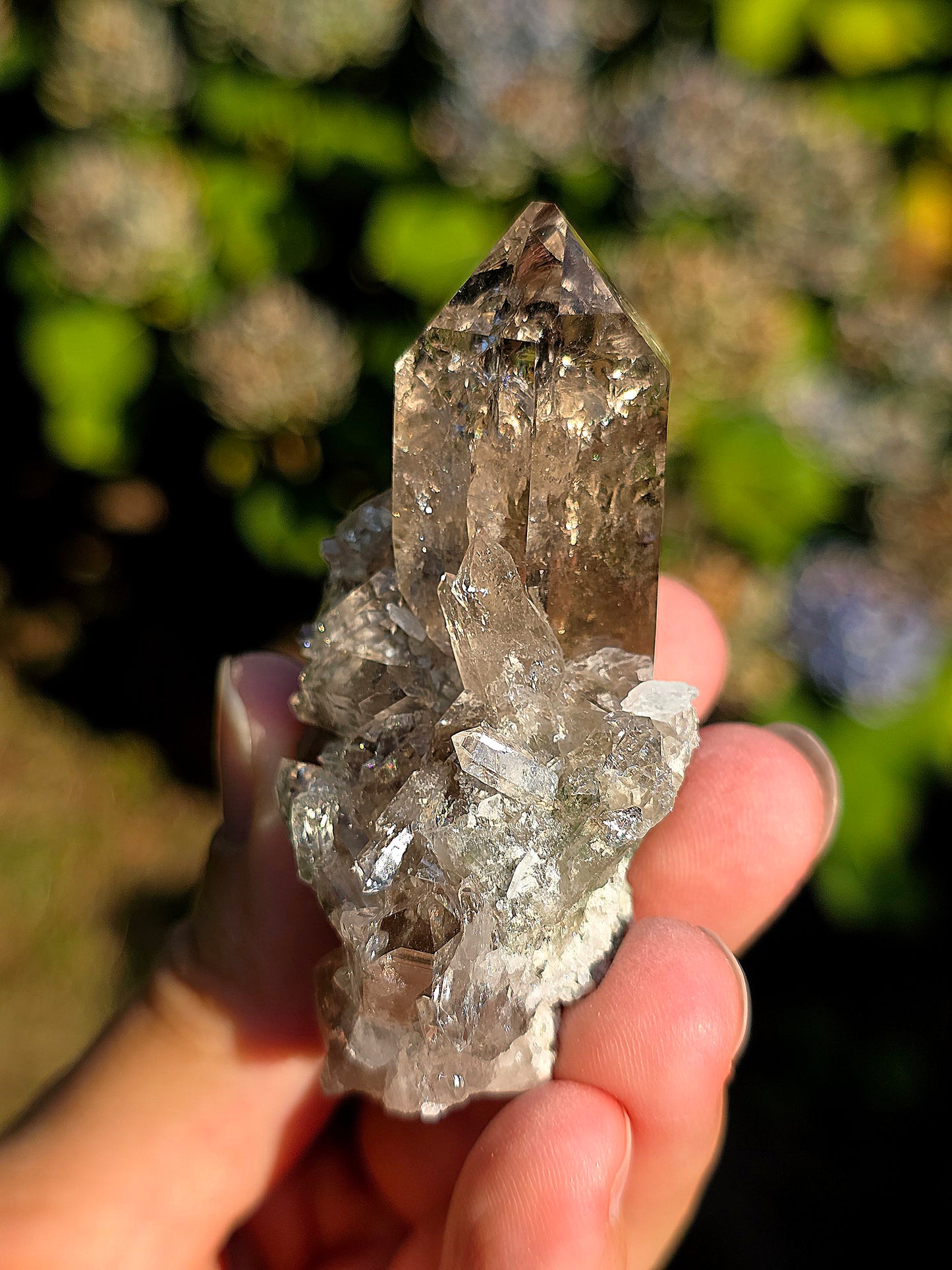 Superbe Quartz fumé des Pyrénées n°31