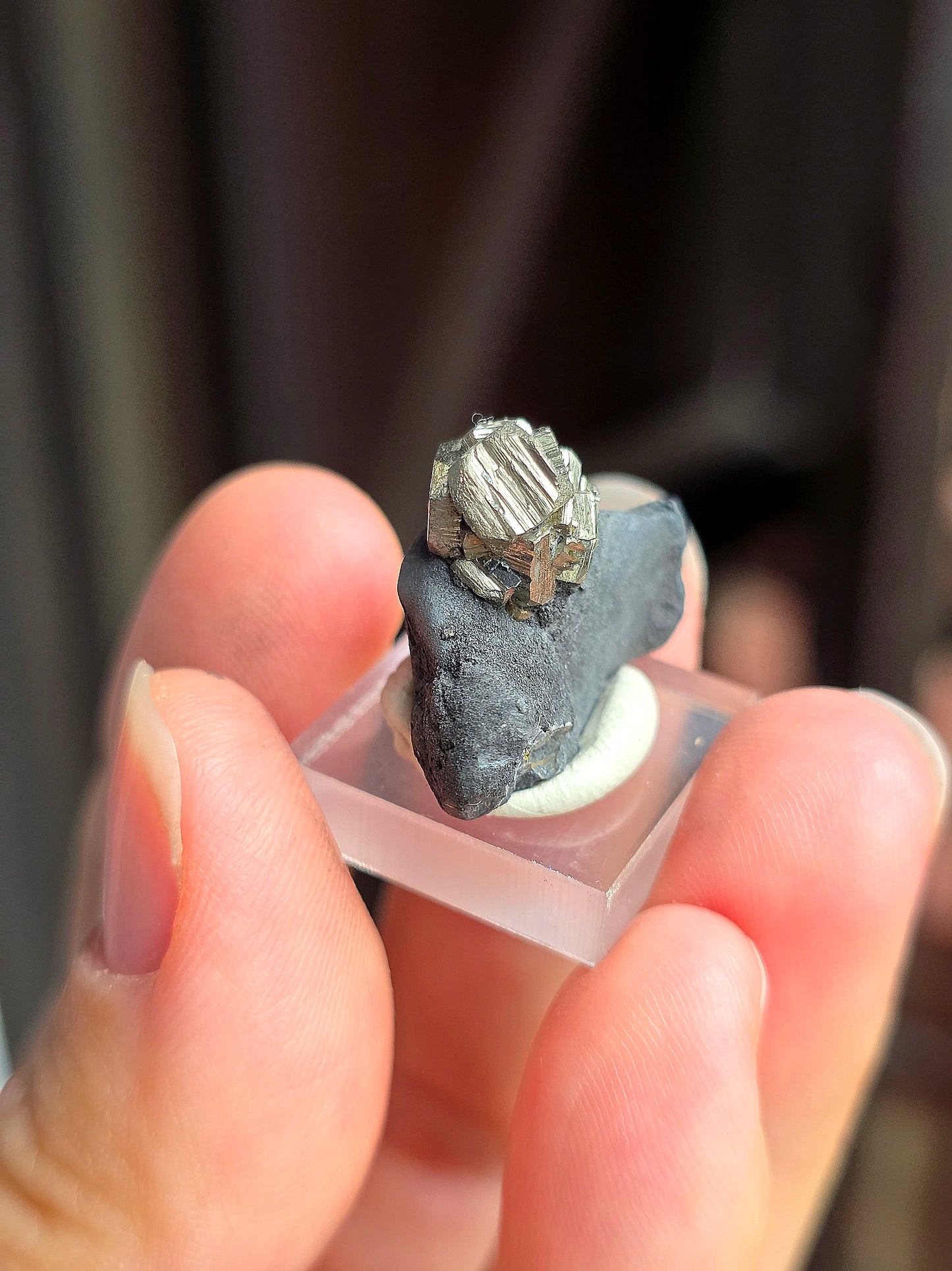 Pyrite sur Schiste n°8