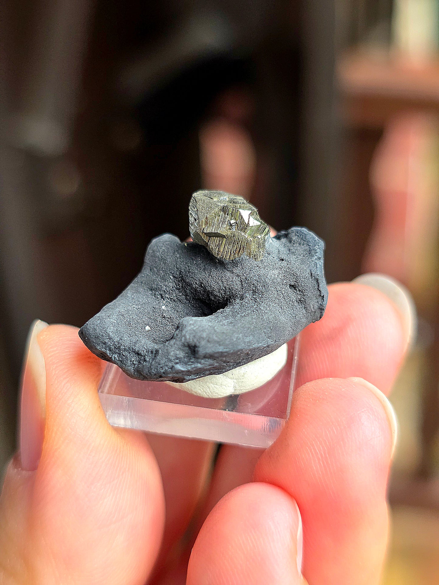Pyrite sur Schiste n°9