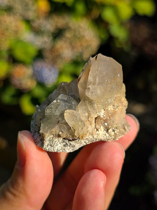 Quartz des Pyrénées avec Byssolite