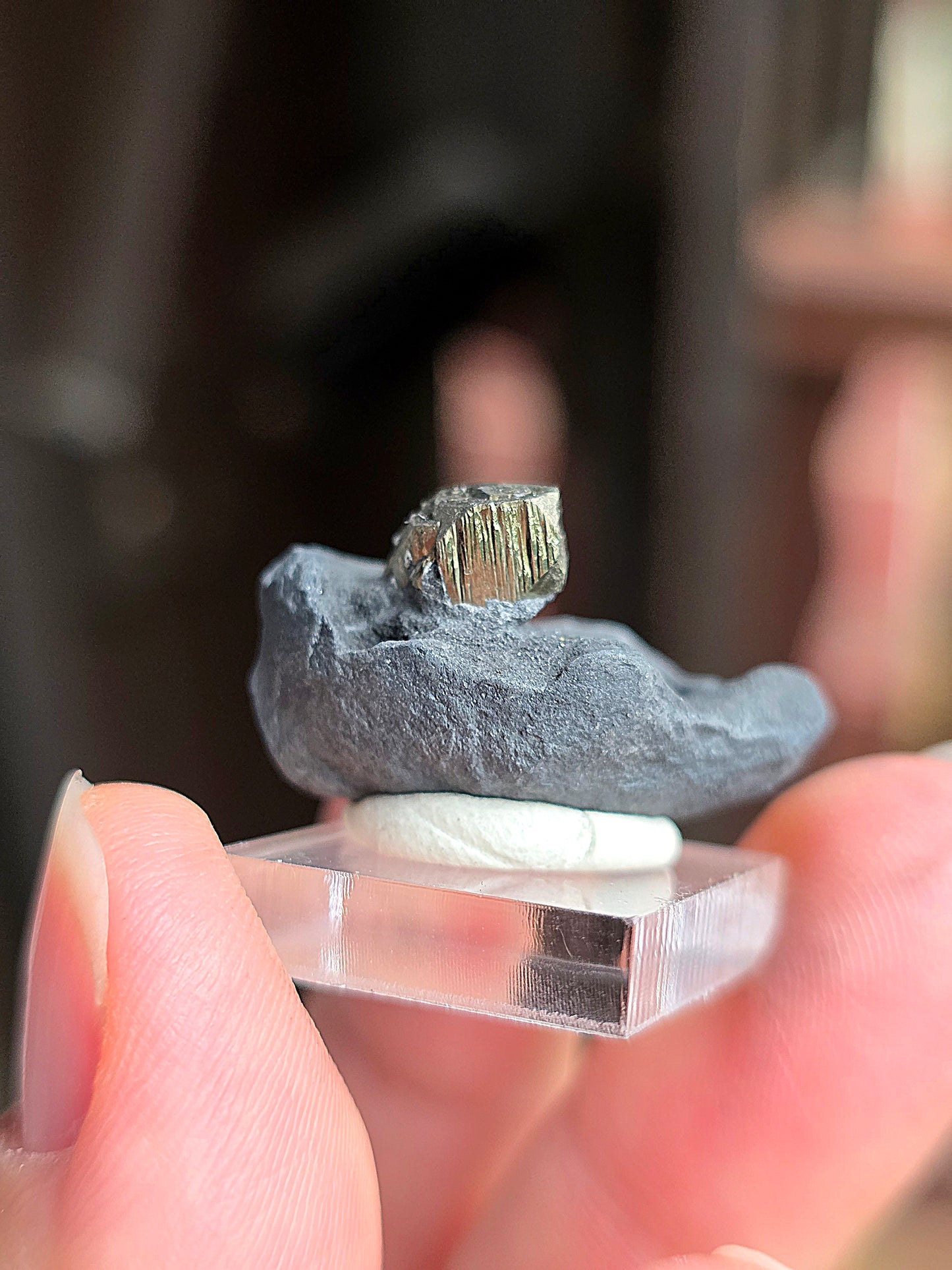 Pyrite sur Schiste n°9
