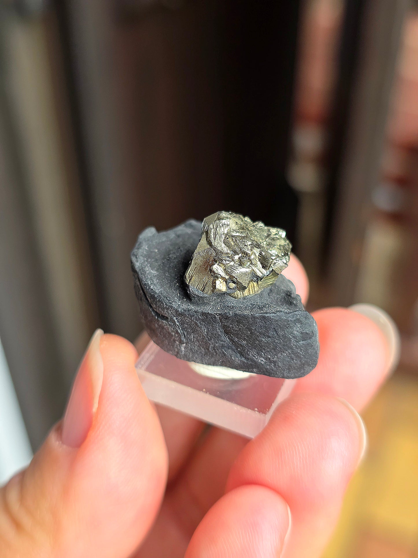 Pyrite sur Schiste n°1