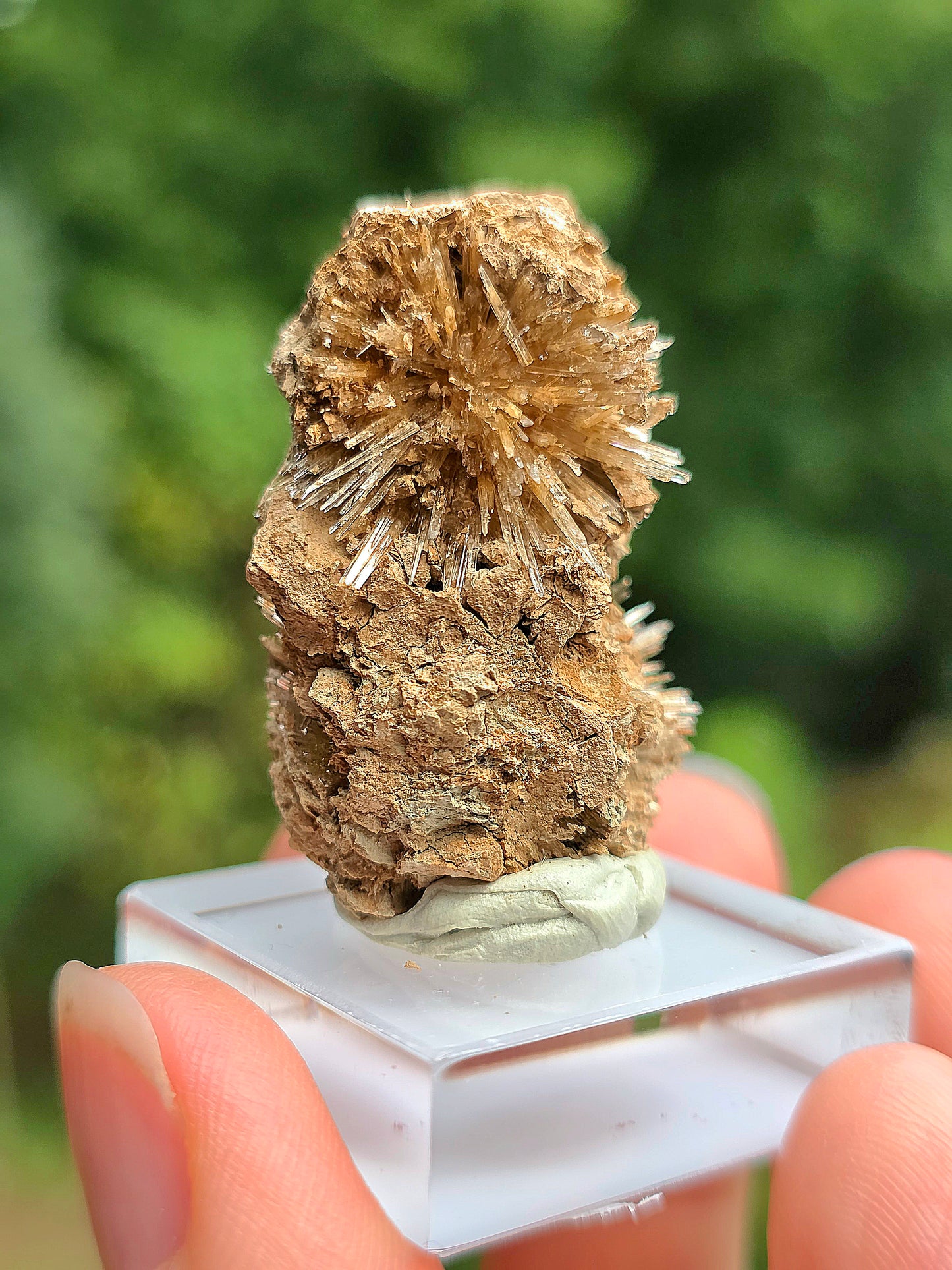Aragonite corollaire française n°3