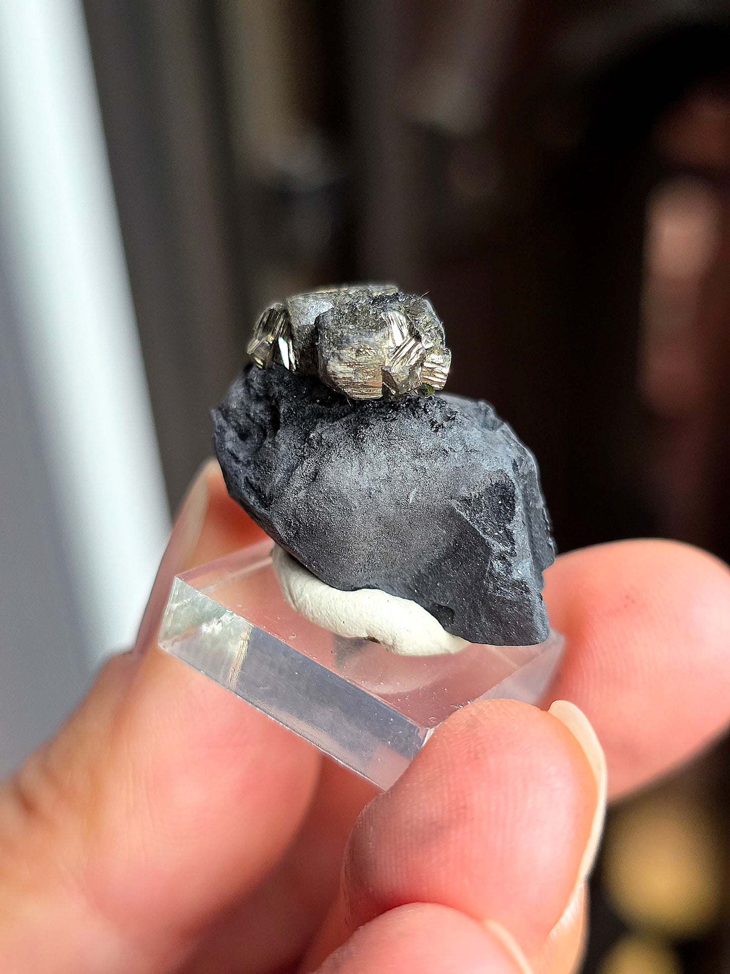 Pyrite sur Schiste n°10