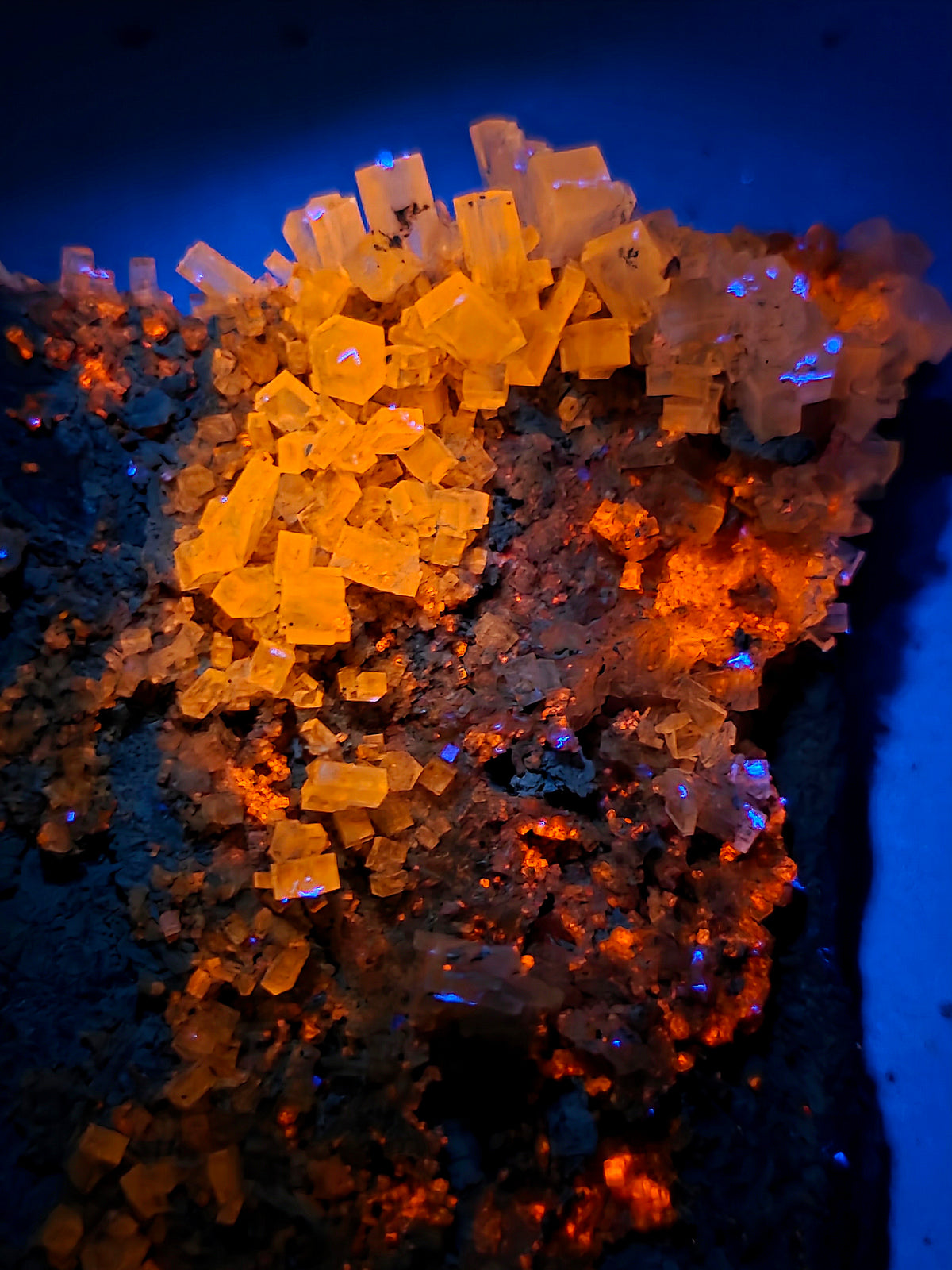 Halite (réactive UV) n°2