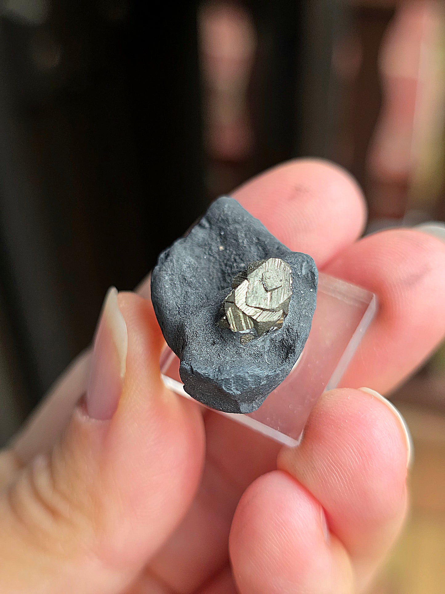 Pyrite sur Schiste n°9