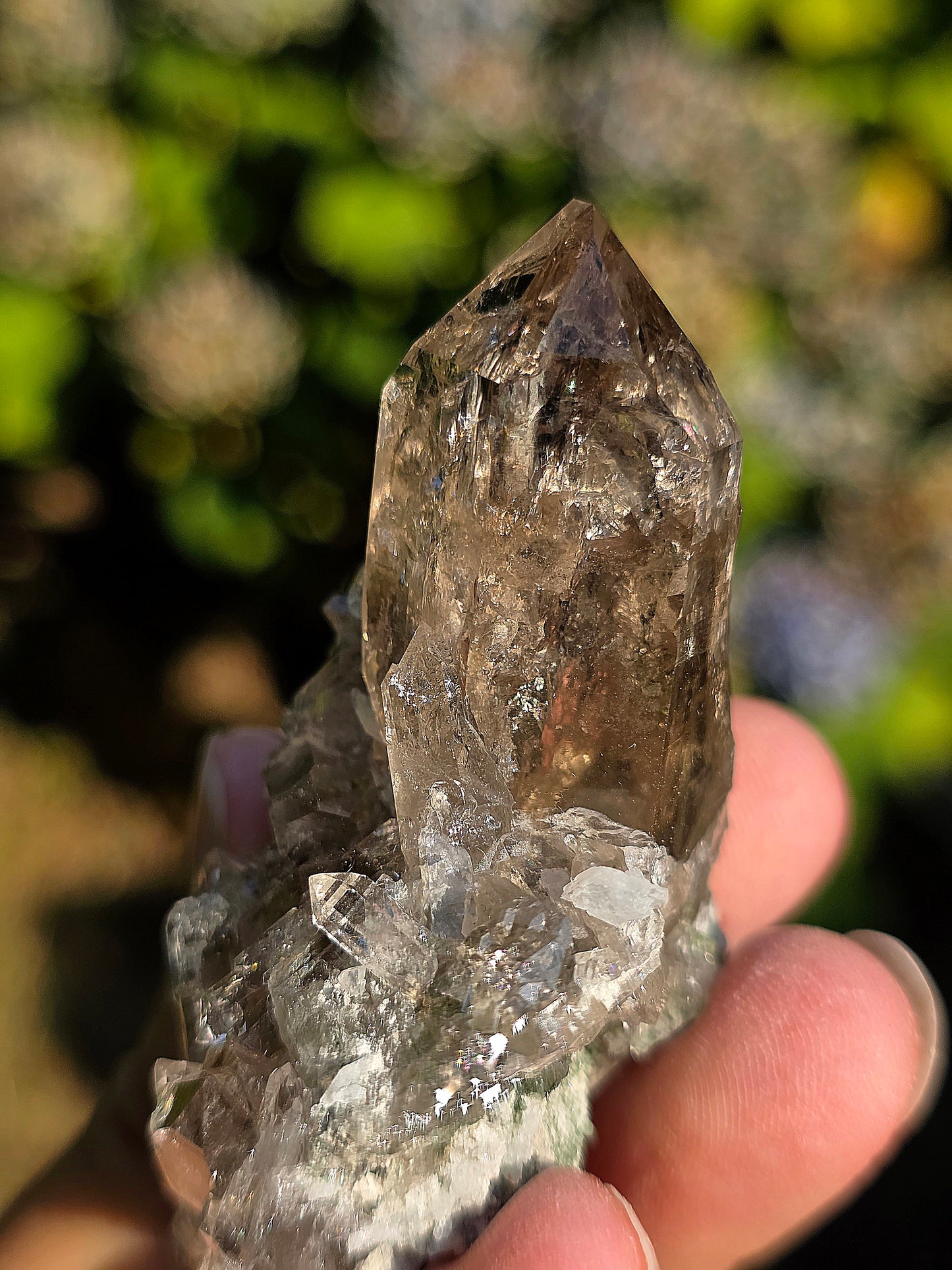 Superbe Quartz fumé des Pyrénées n°31