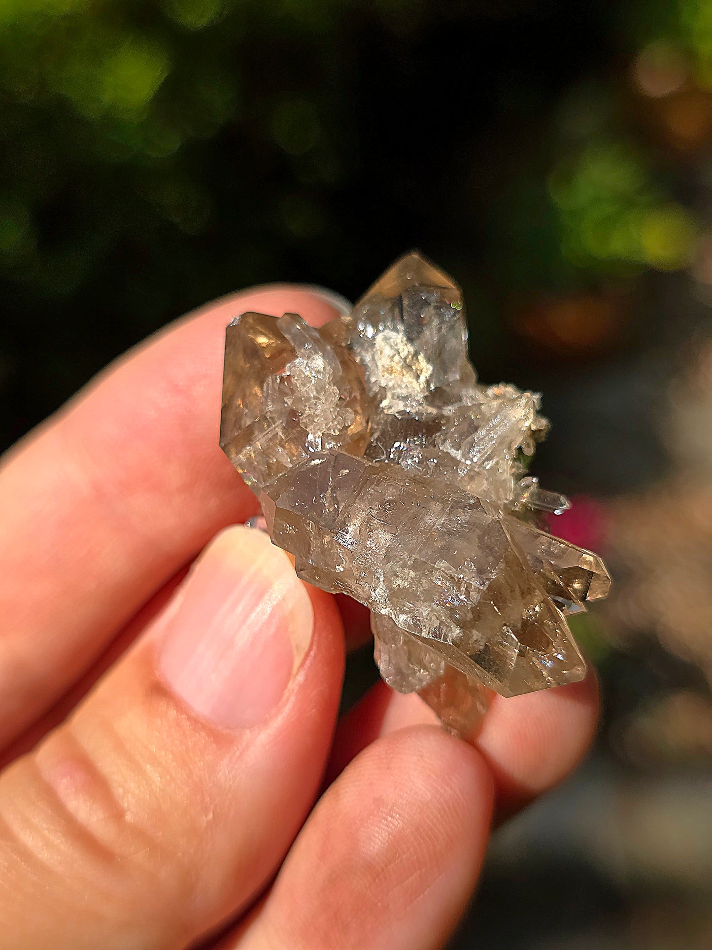 Quartz fumé des Pyrénées n°17