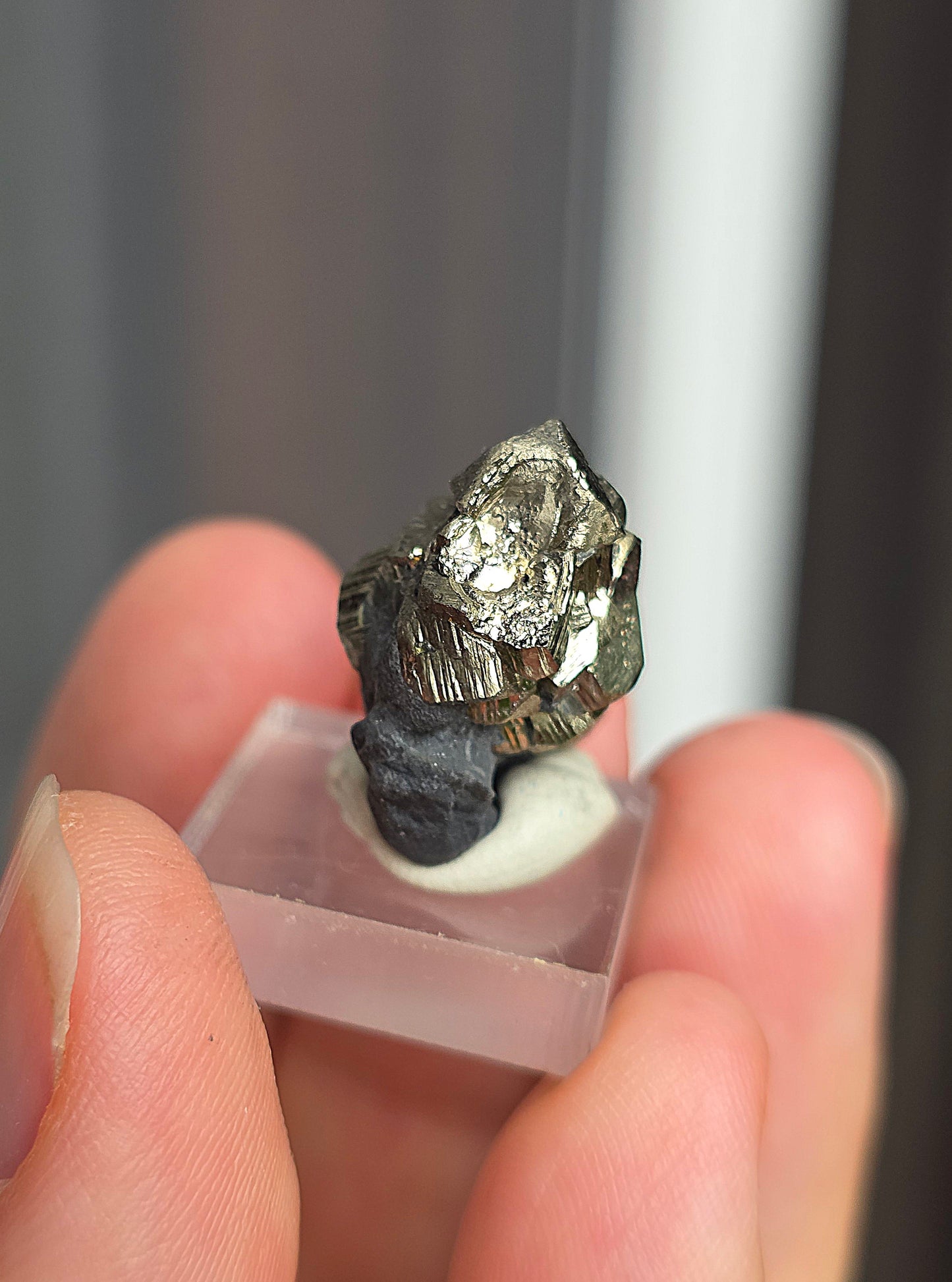 Pyrite sur Schiste n°5