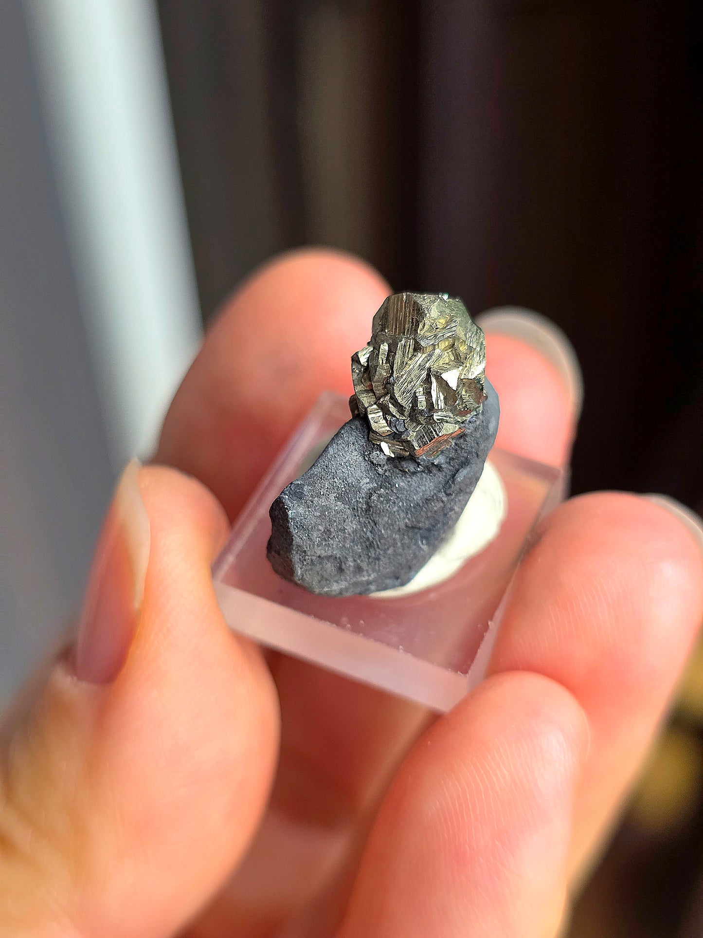 Pyrite sur Schiste n°8